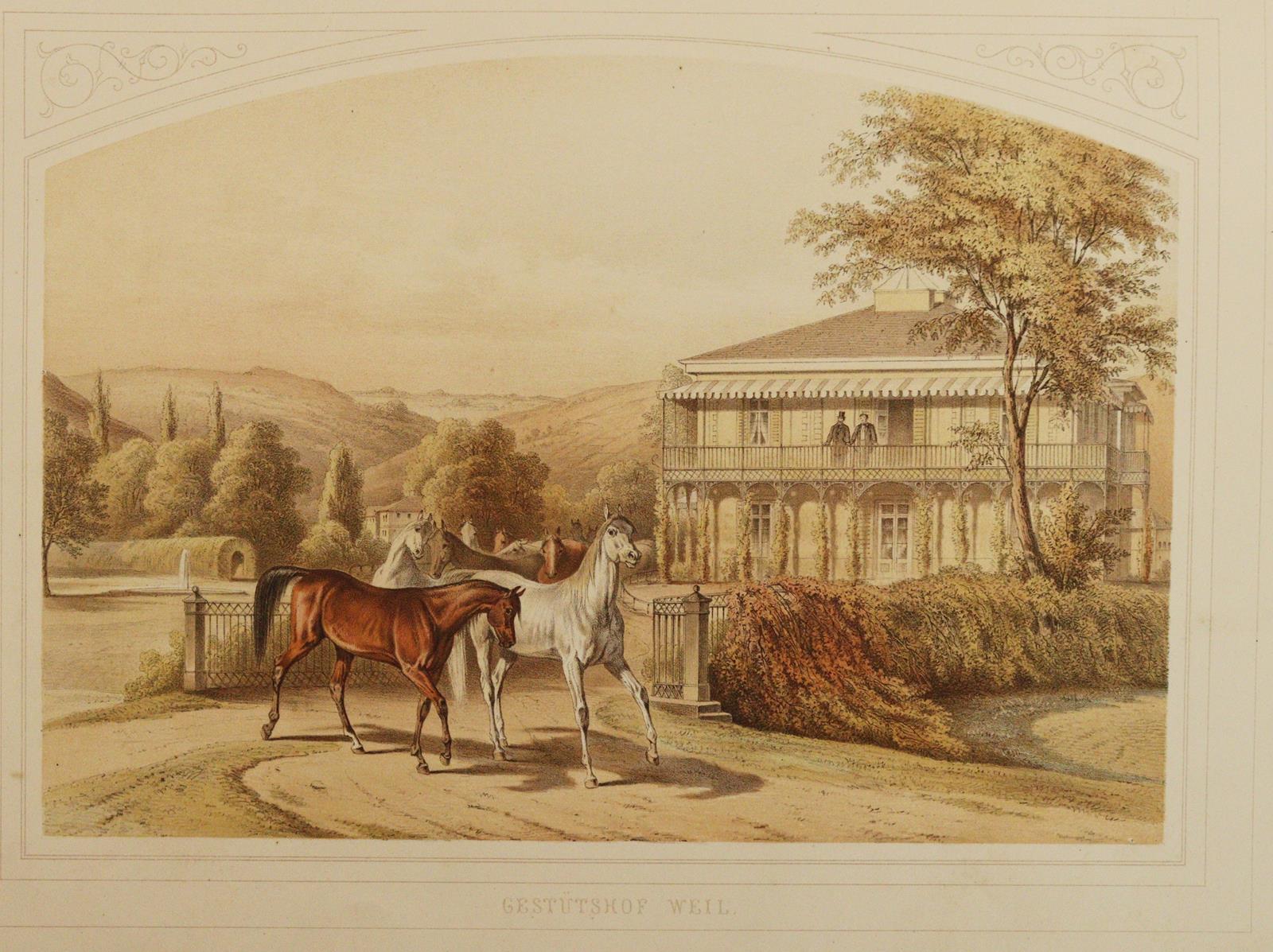 Schmidt,F.v. | Bild Nr.2