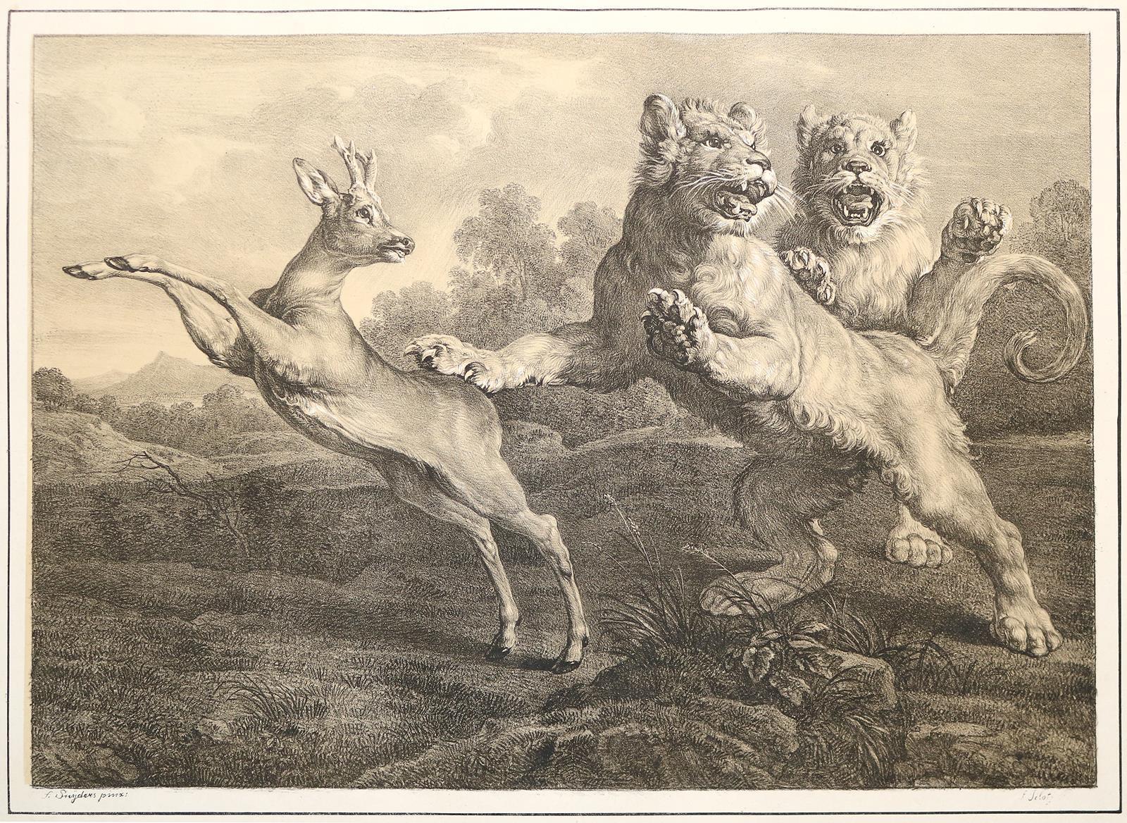 Königlich Baierischer Gemälde-Saal | Bild Nr.2