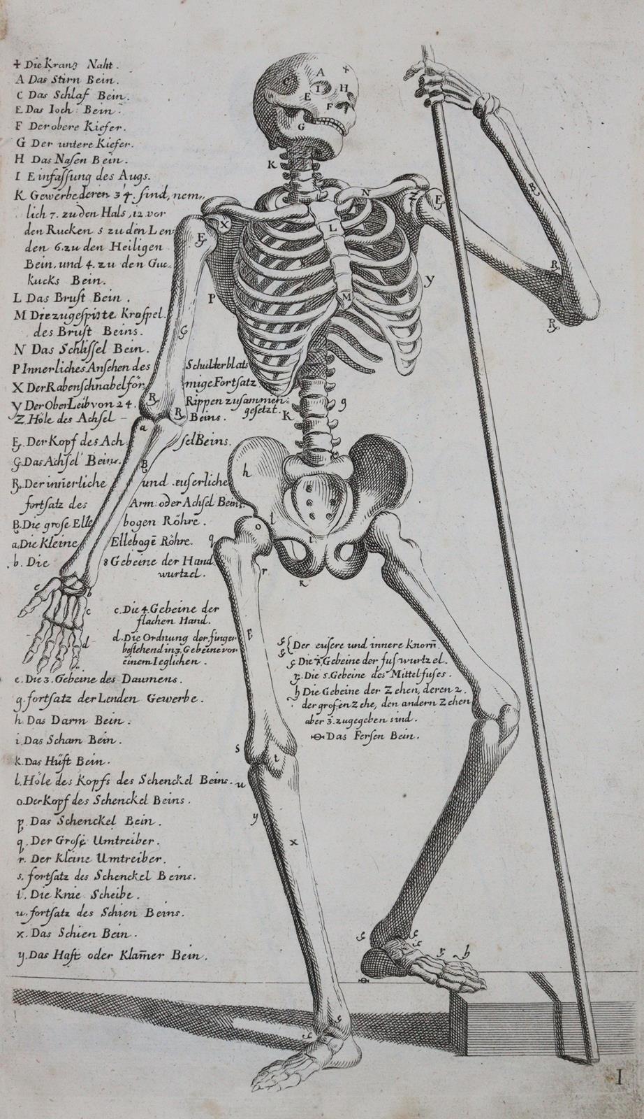 Preißler,J.D. | Bild Nr.8