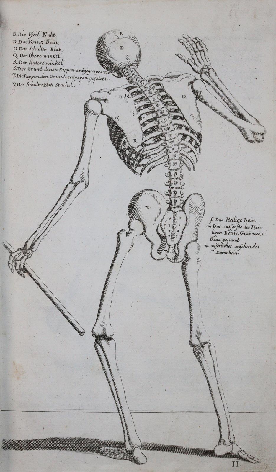 Preißler,J.D. | Bild Nr.9