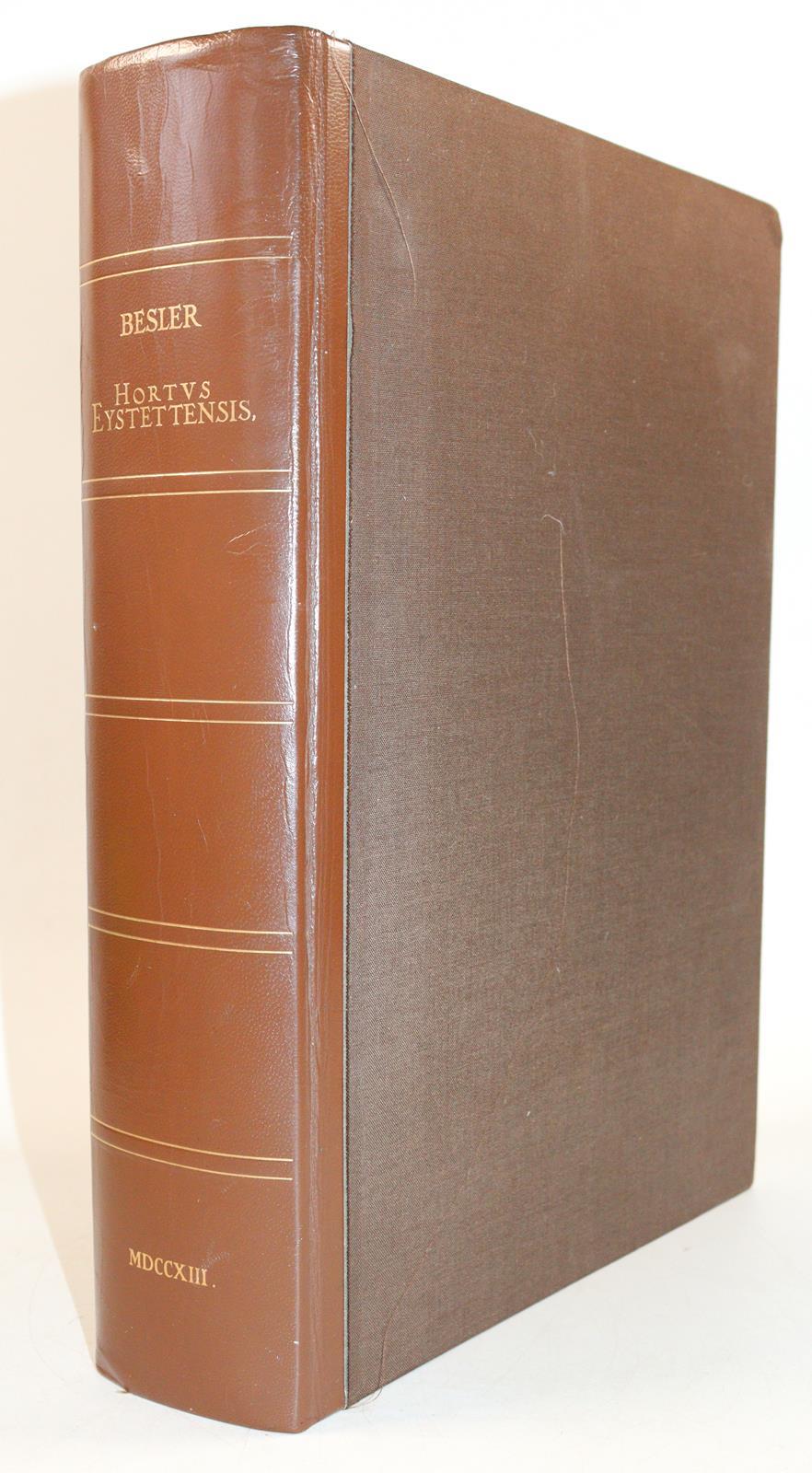 Besler,B. | Bild Nr.2