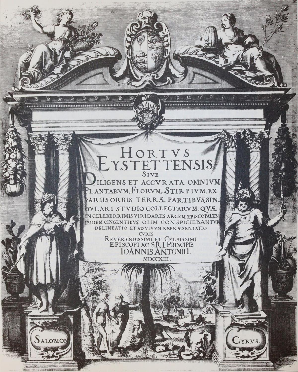 Besler,B. | Bild Nr.3