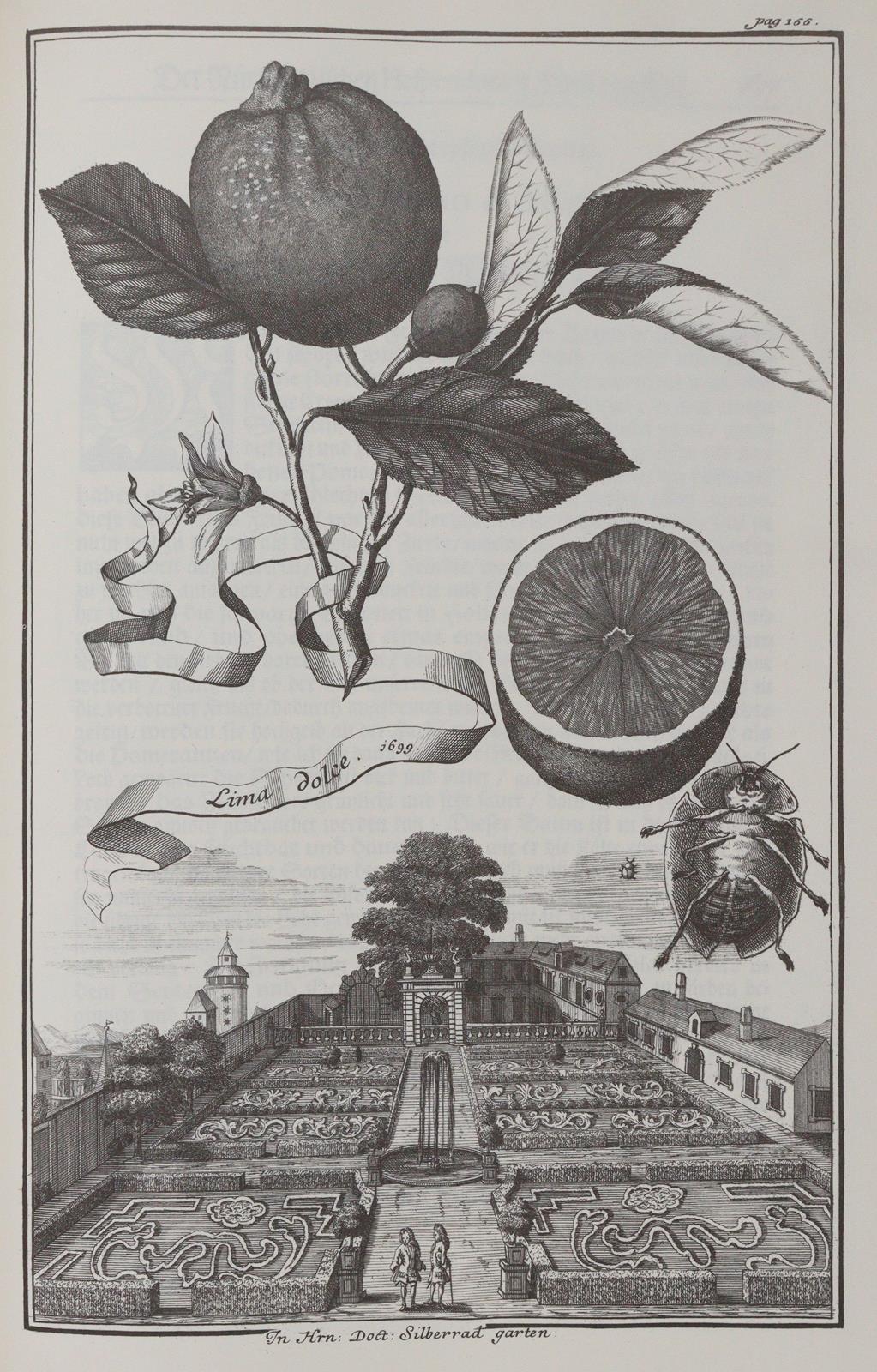 Thomas von Aquin. | Bild Nr.1