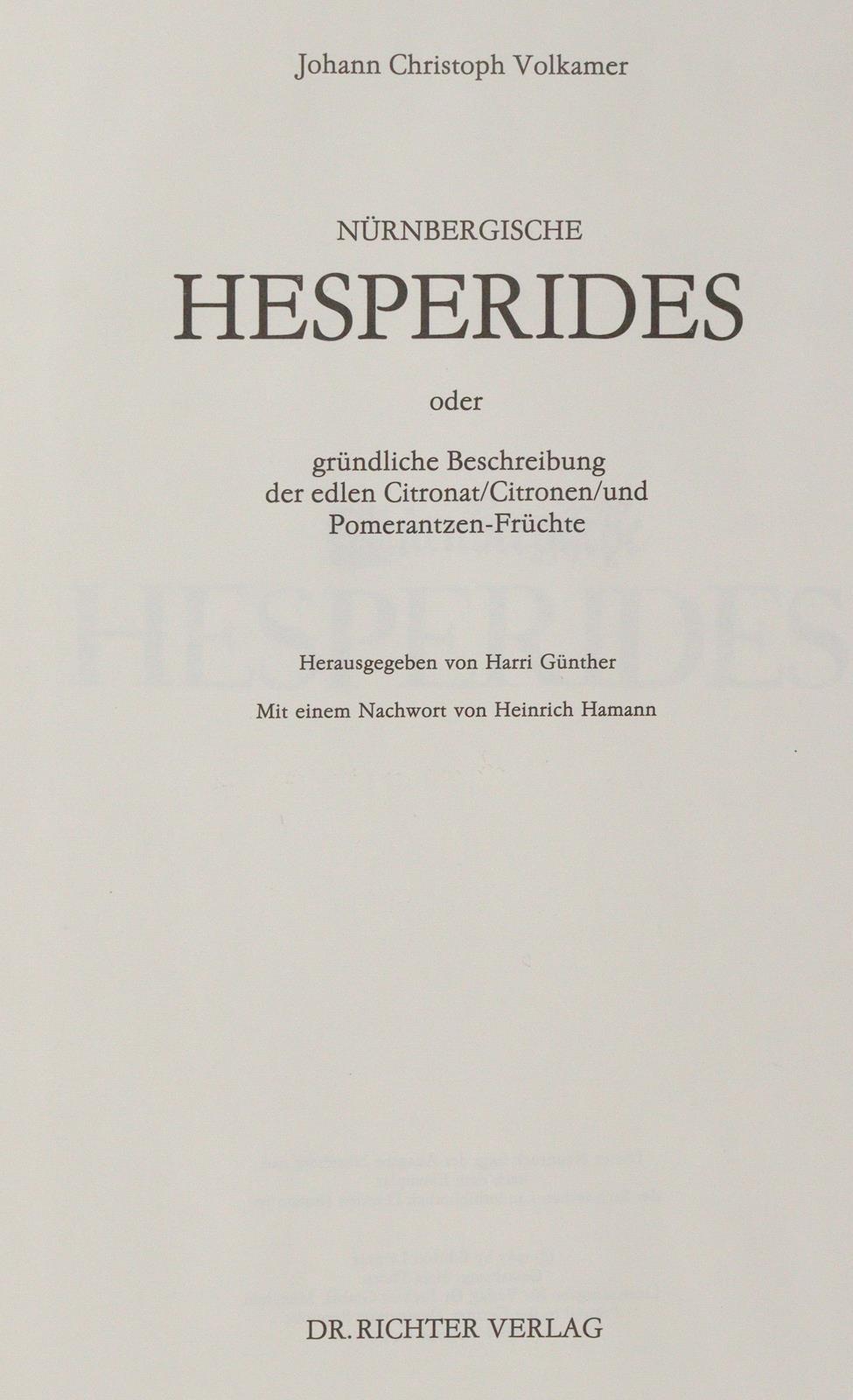 Thomas von Aquin. | Bild Nr.3