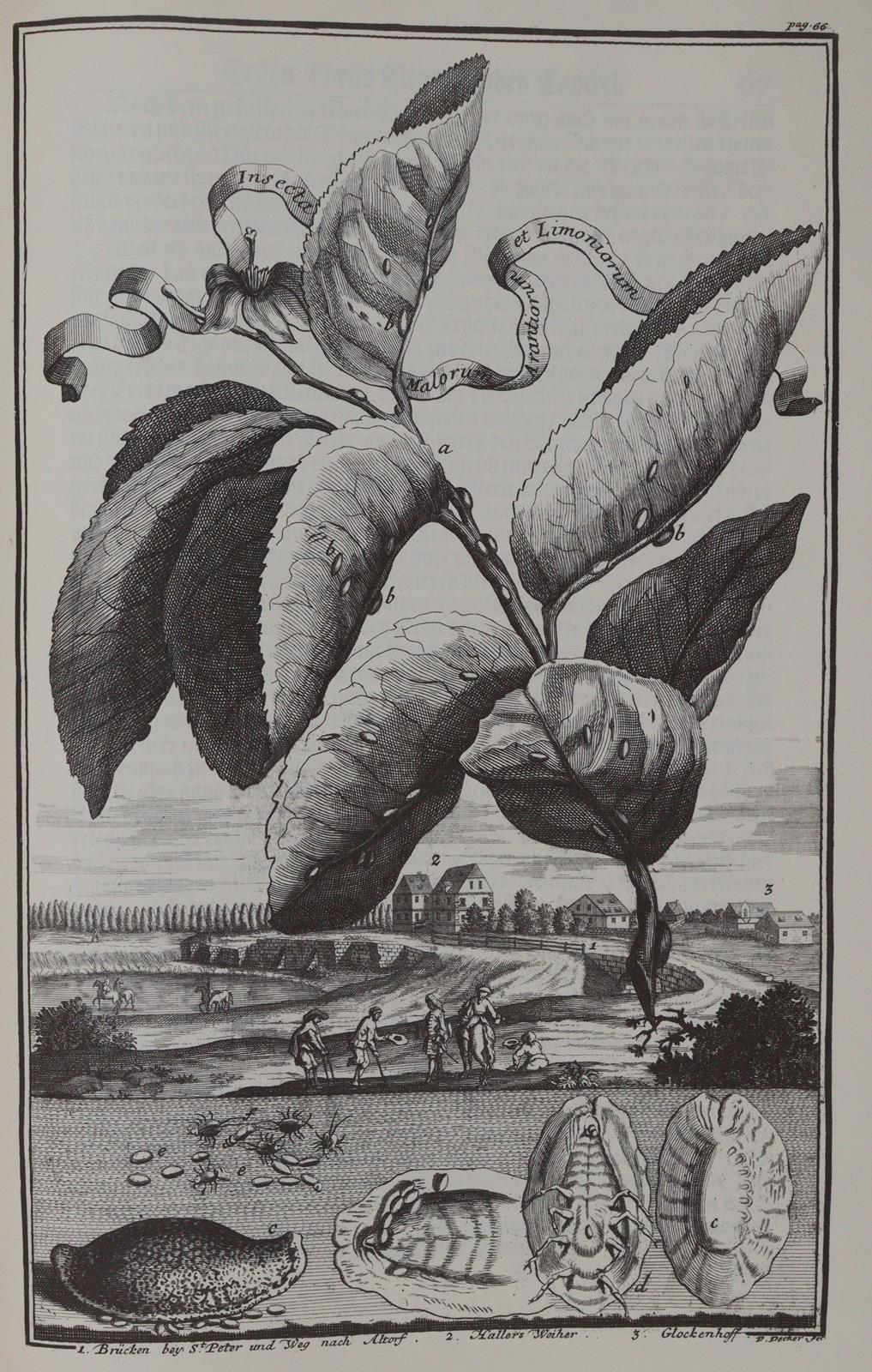 Thomas von Aquin. | Bild Nr.5