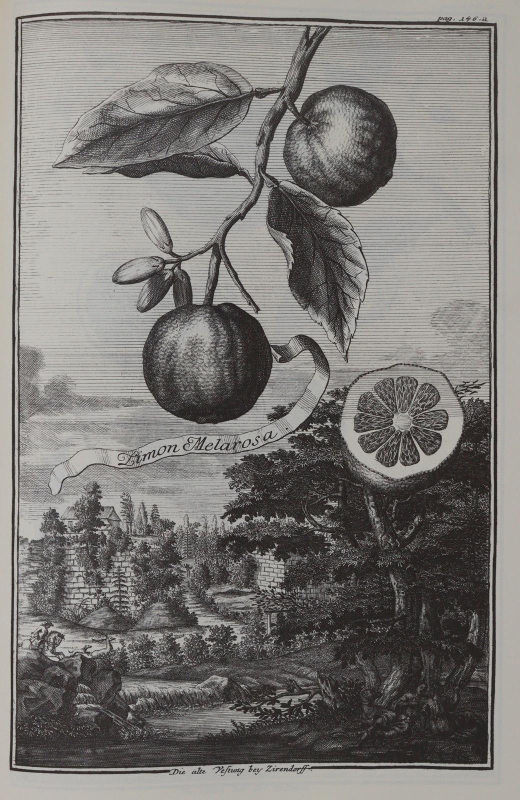 Thomas von Aquin. | Bild Nr.6