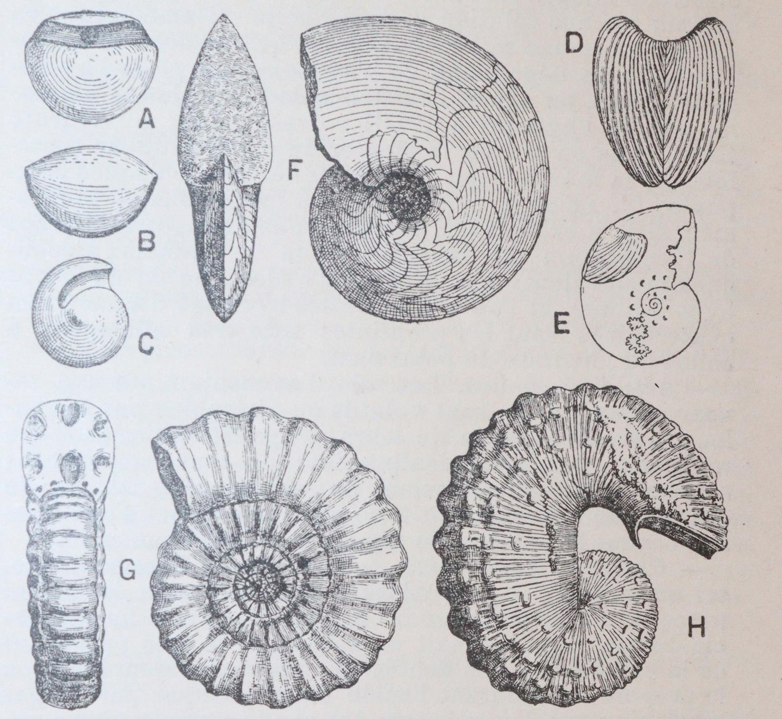 Nouveau Larousse illustre. | Bild Nr.3