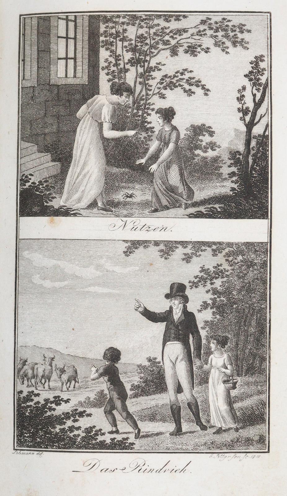 Herrmann,F.(W.). | Bild Nr.2