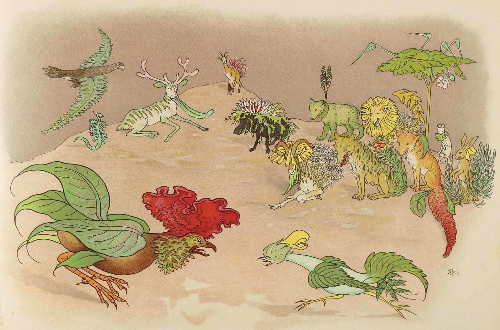 Kreidolf,E. | Bild Nr.3