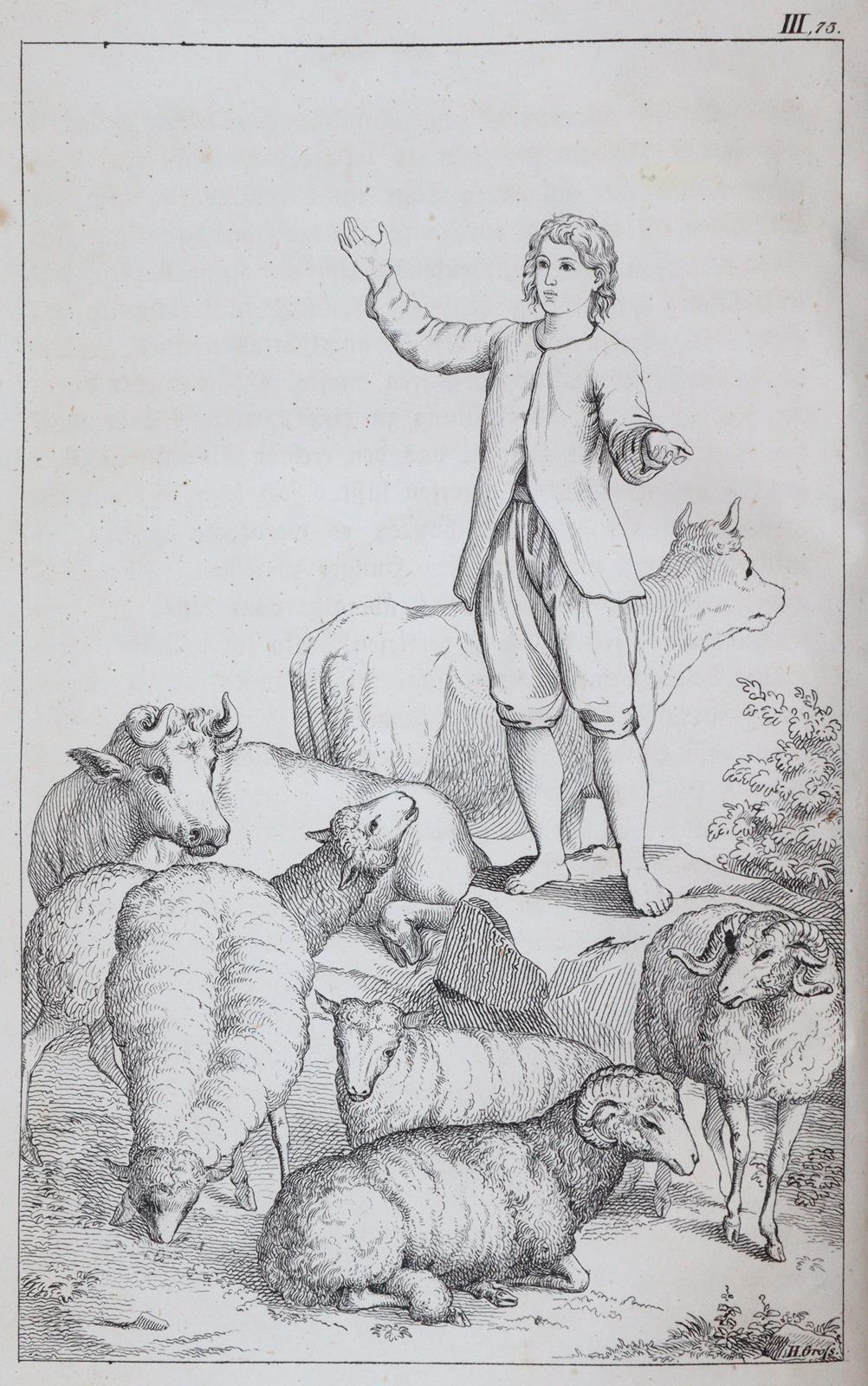 Nieritz,G. | Bild Nr.5