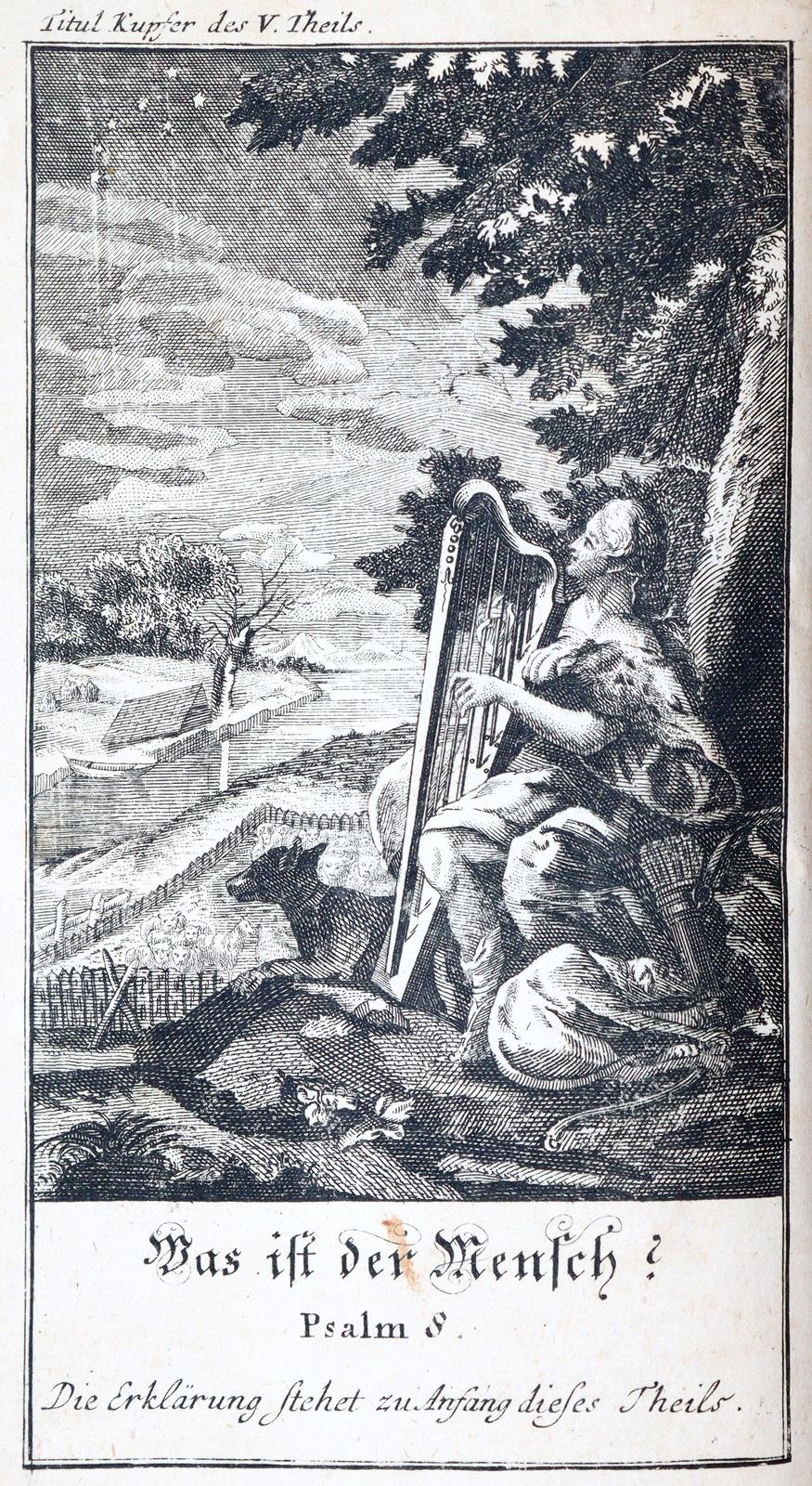 (Pluche,N.A.). | Bild Nr.2