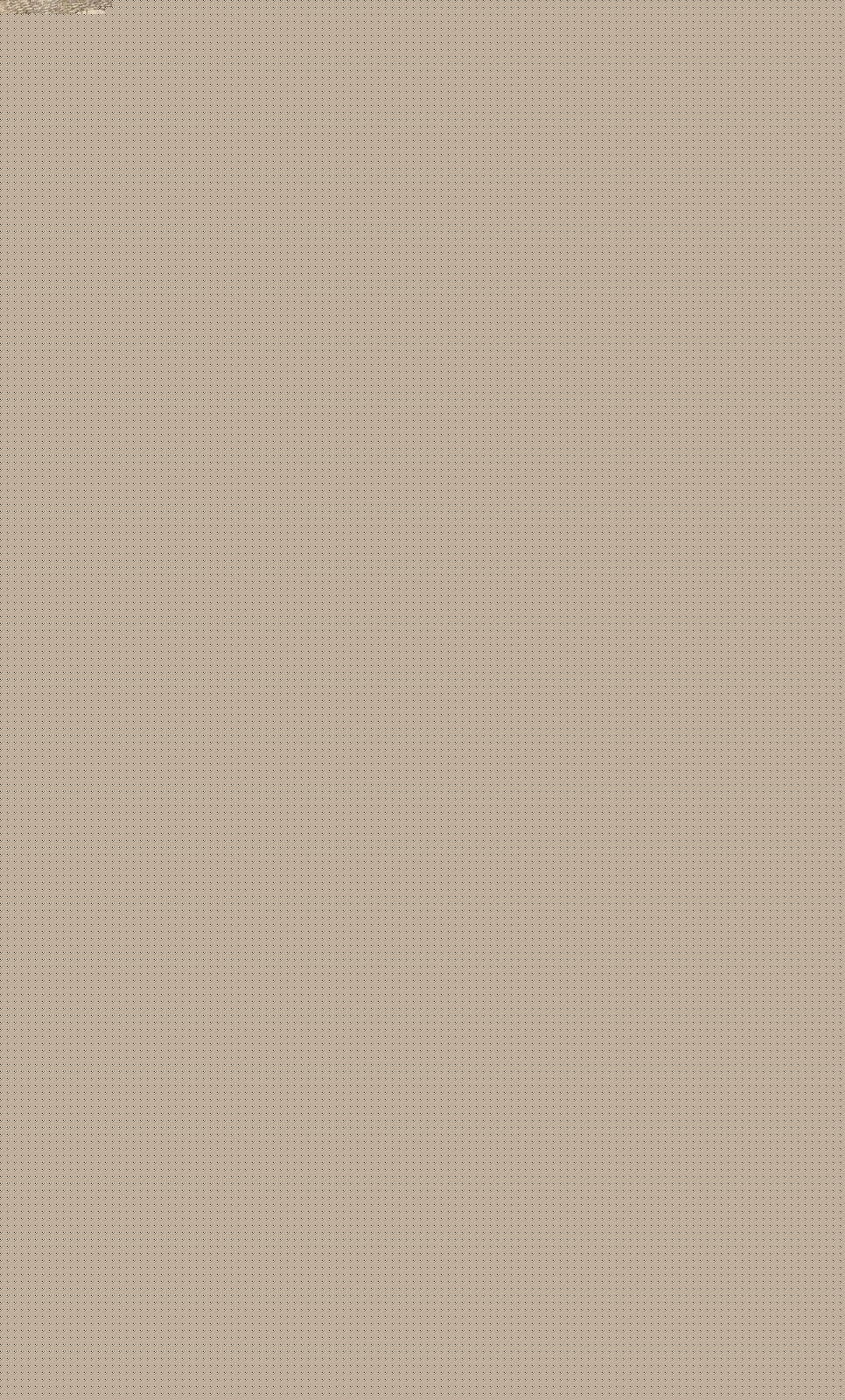 Seiler,G.F. | Bild Nr.2