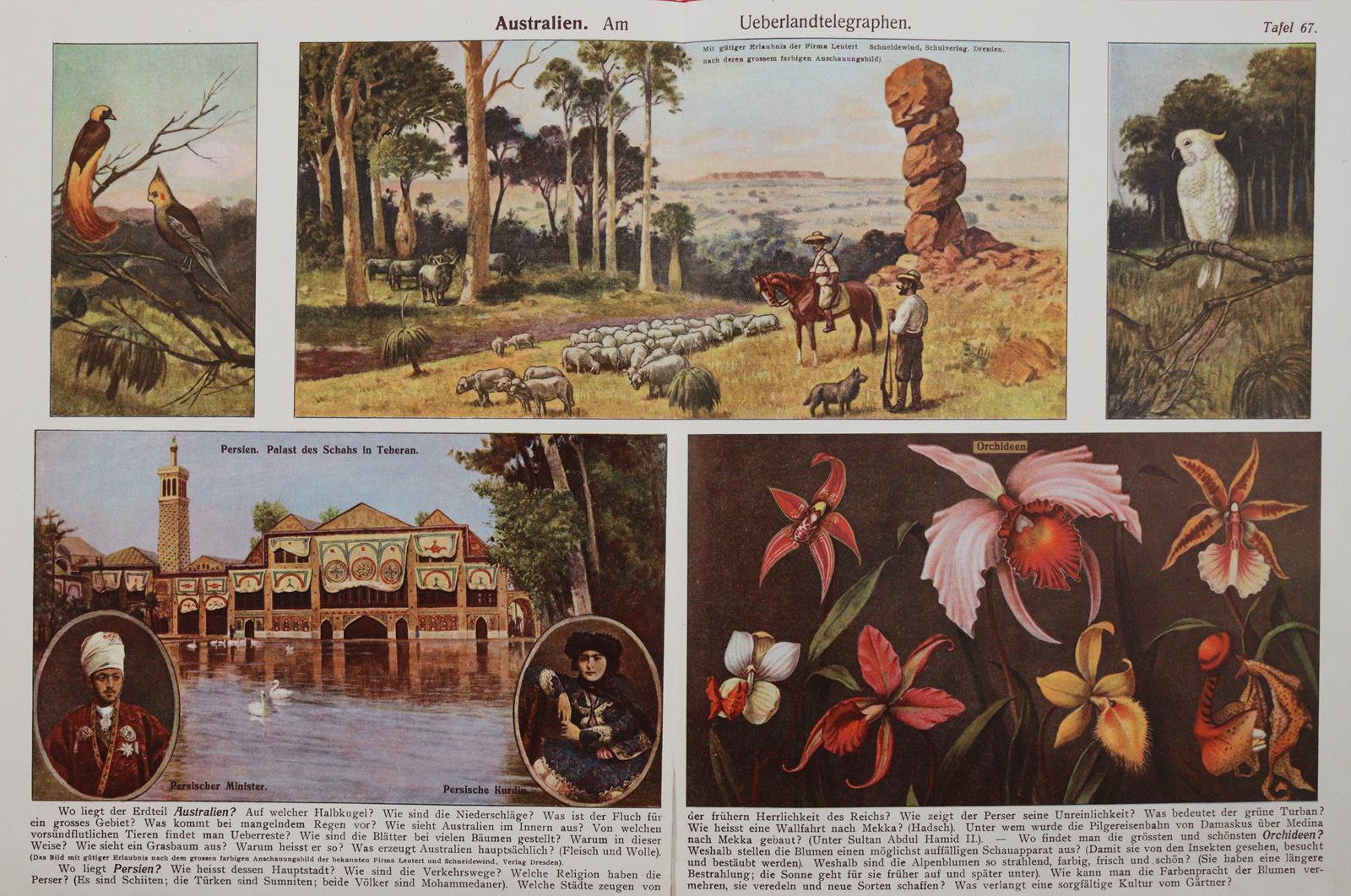 Staub,J. | Bild Nr.4