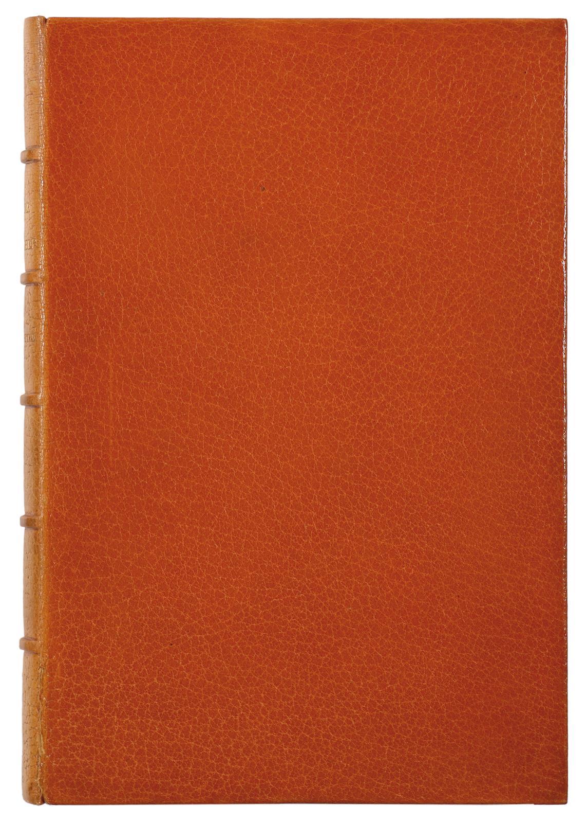Brauner Maroquineinband | Bild Nr.1