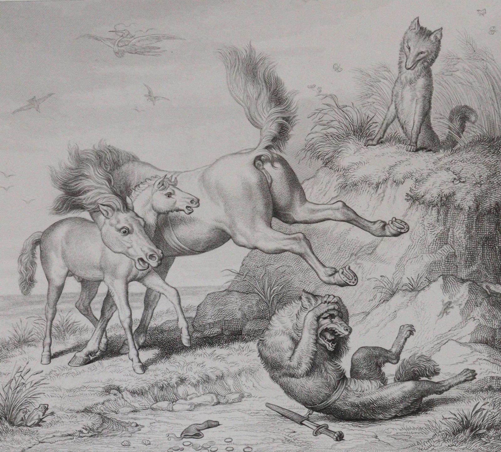 Goethe,J.W.v. | Bild Nr.5