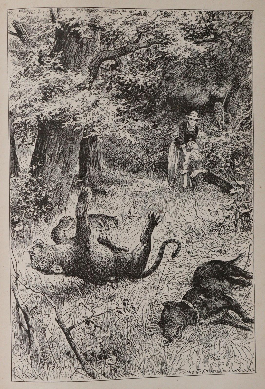 Sammlung | Bild Nr.6