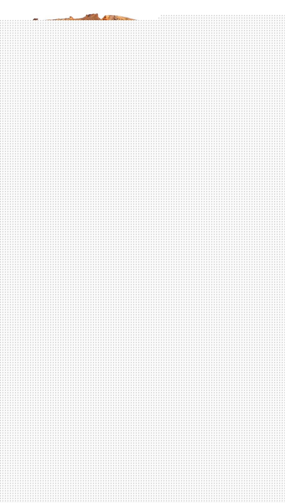 Mozin,D. | Bild Nr.2