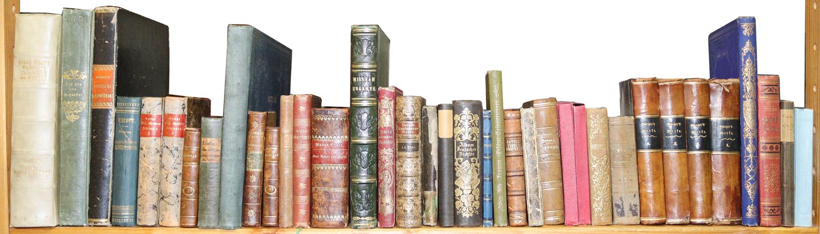 Sammlung | Bild Nr.5