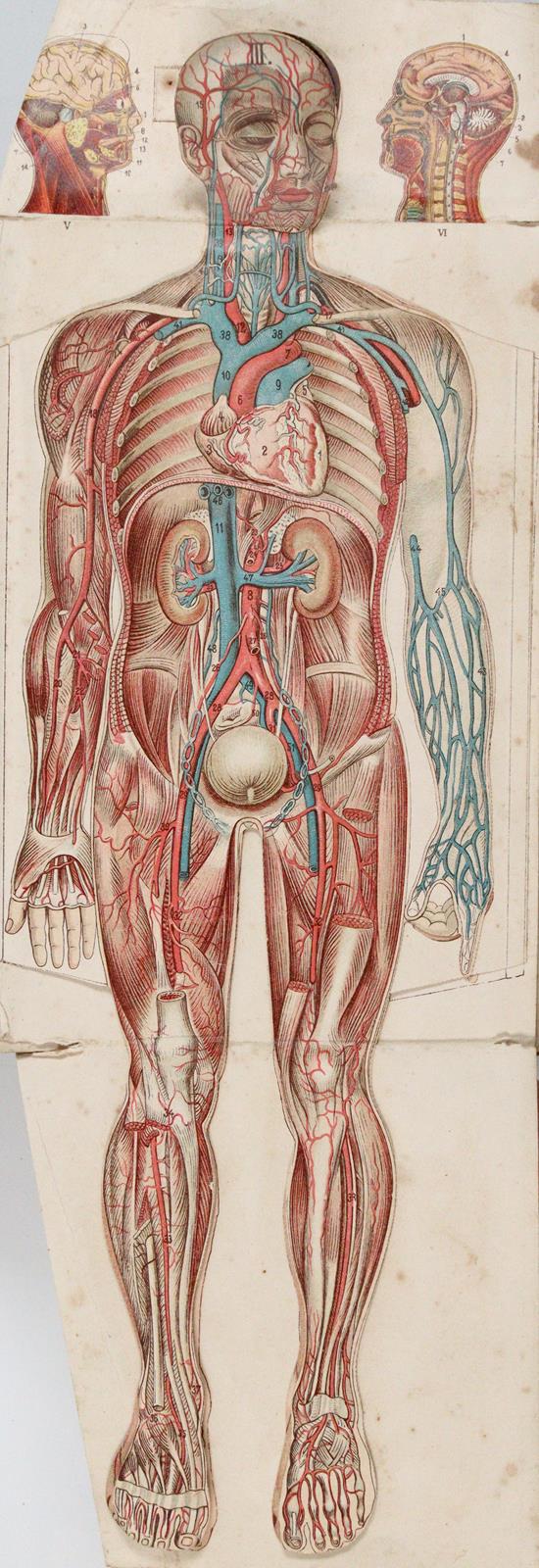 Sammlung | Bild Nr.1