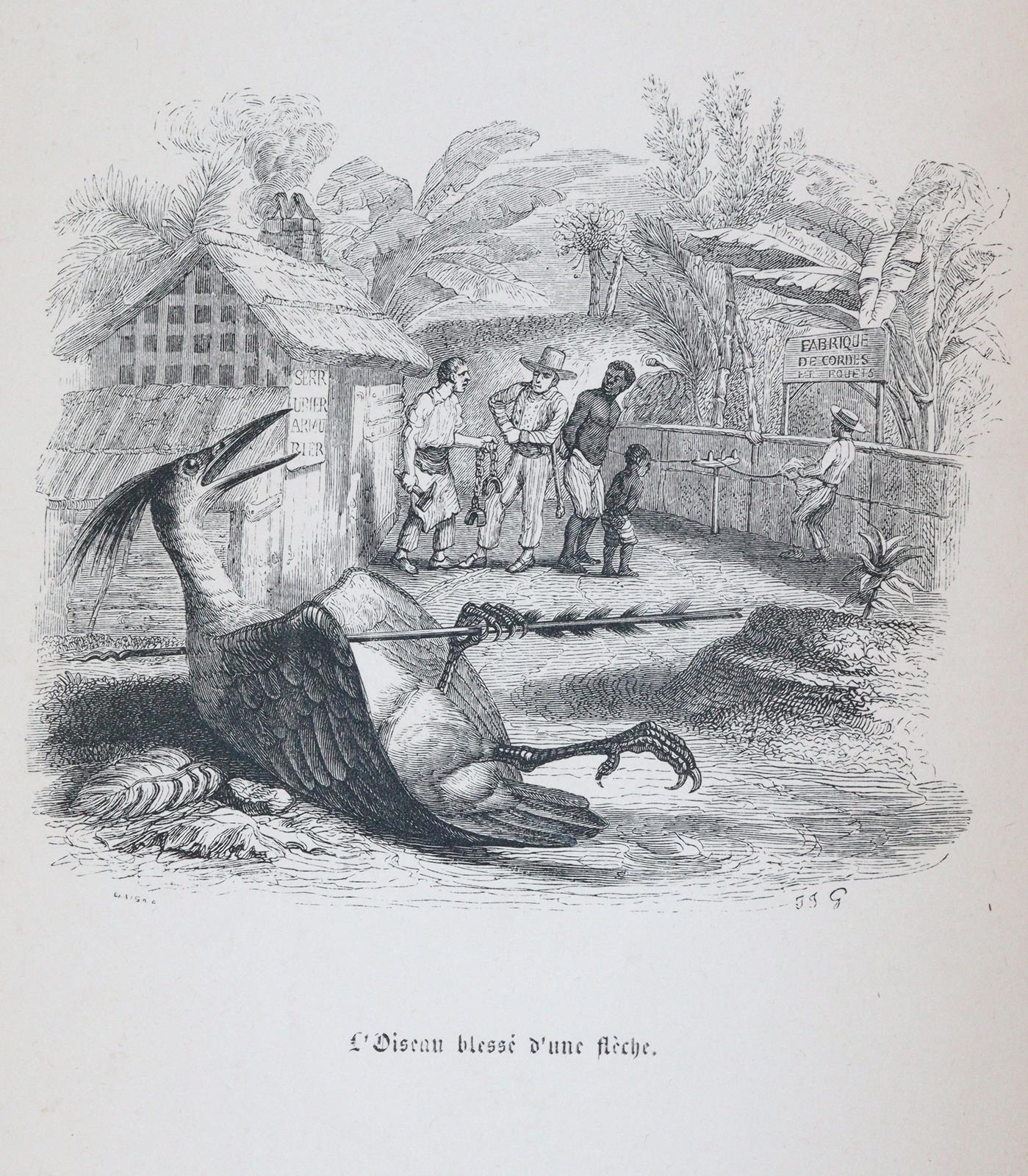 Sammlung | Bild Nr.3