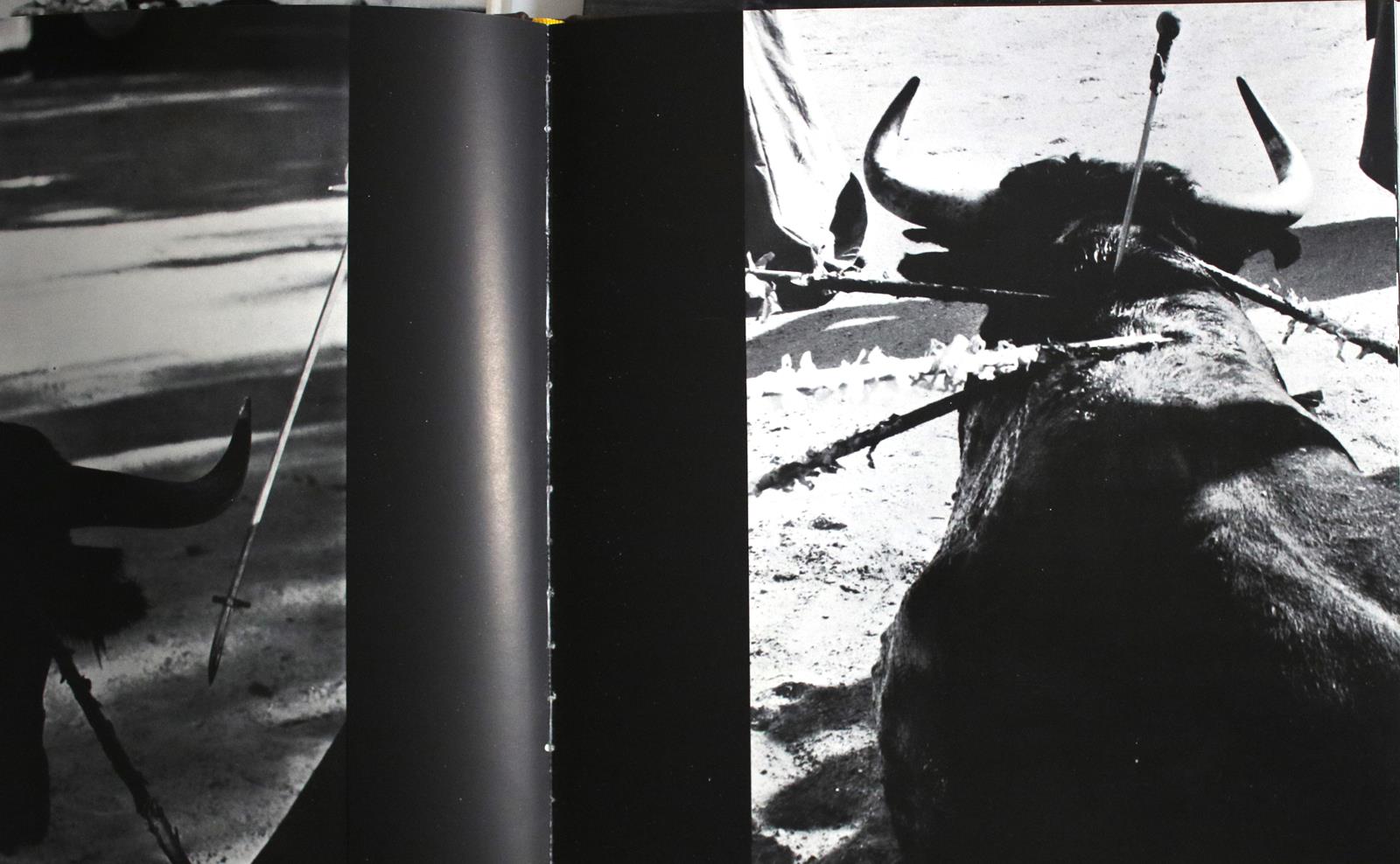 Clergue, Lucien. | Bild Nr.2