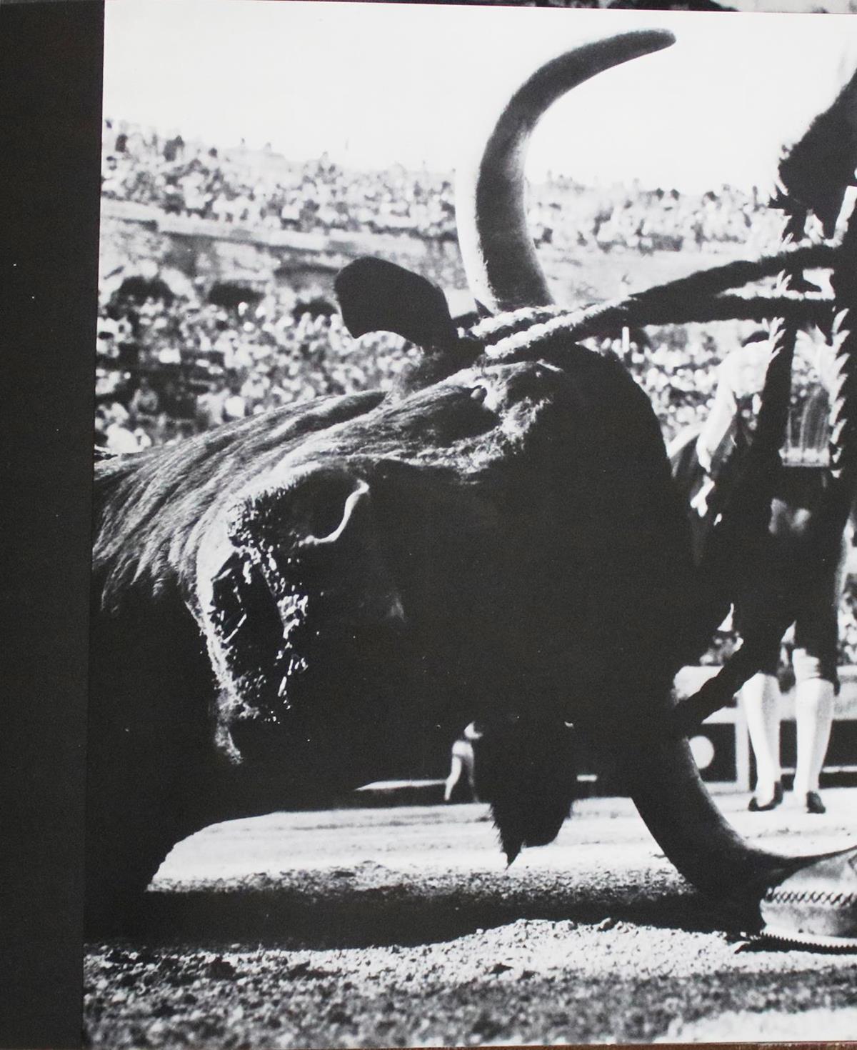 Clergue, Lucien. | Bild Nr.3