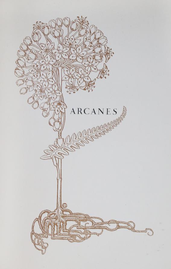 Hansen-Bahia,(K.H.). | Bild Nr.1