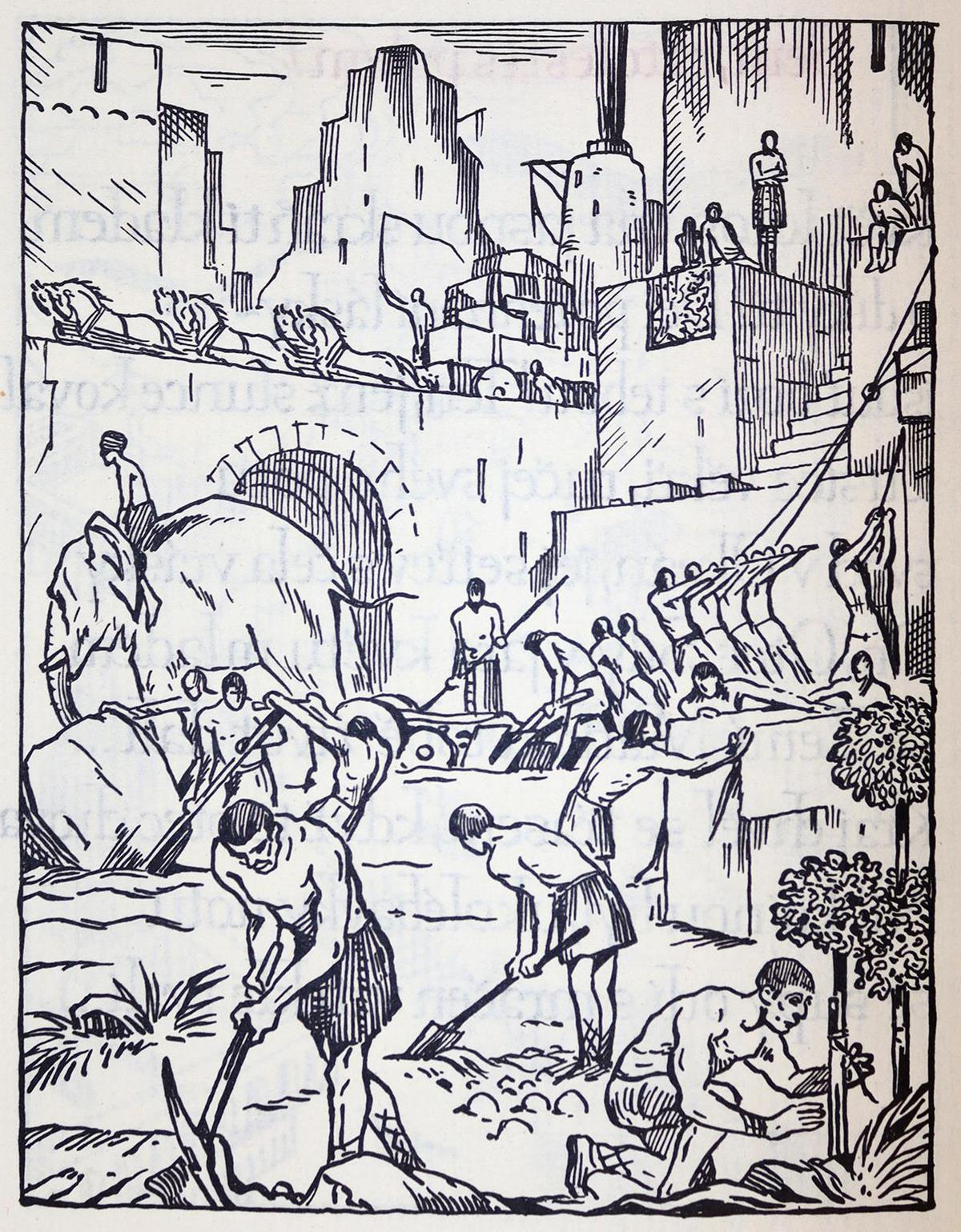 Domorazek,K. | Bild Nr.4