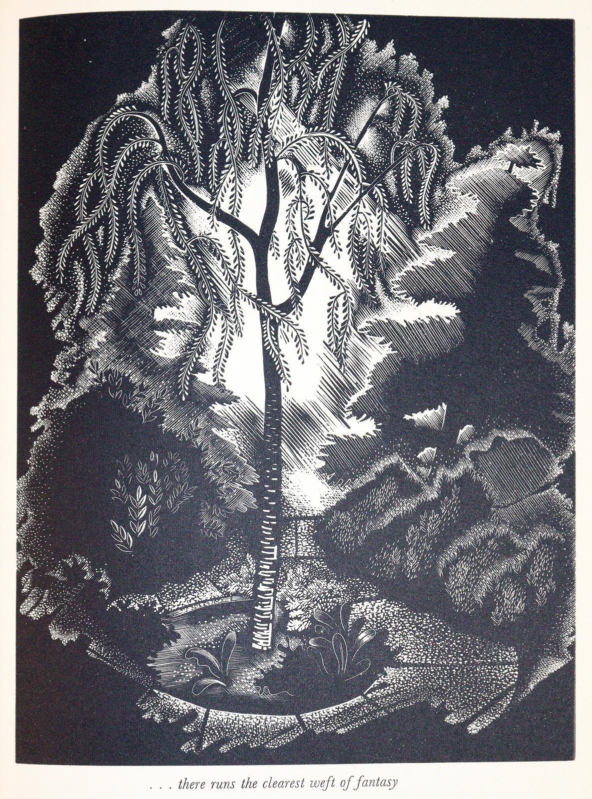 Scougall,S. u. F.Holford. | Bild Nr.3