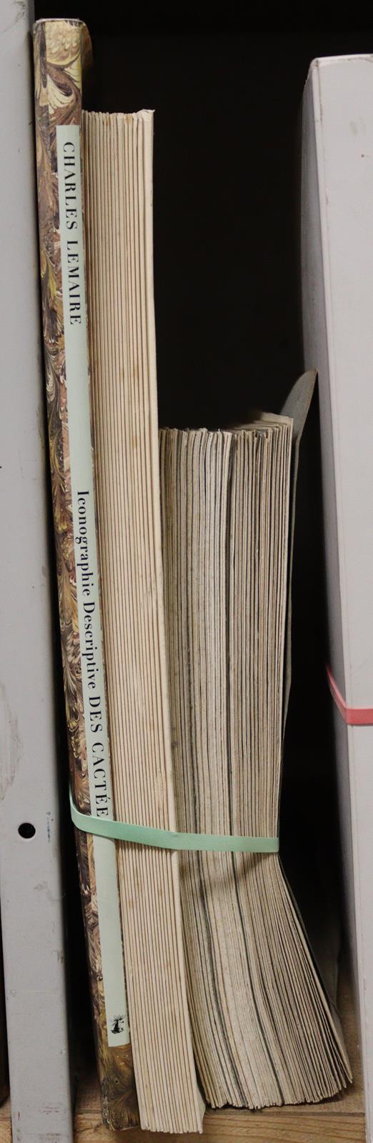 Candolle,A.P.de. | Bild Nr.5