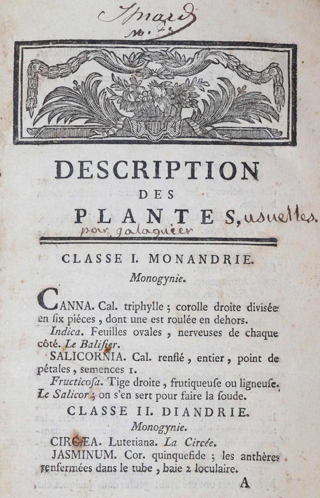 Galaguier. | Bild Nr.1