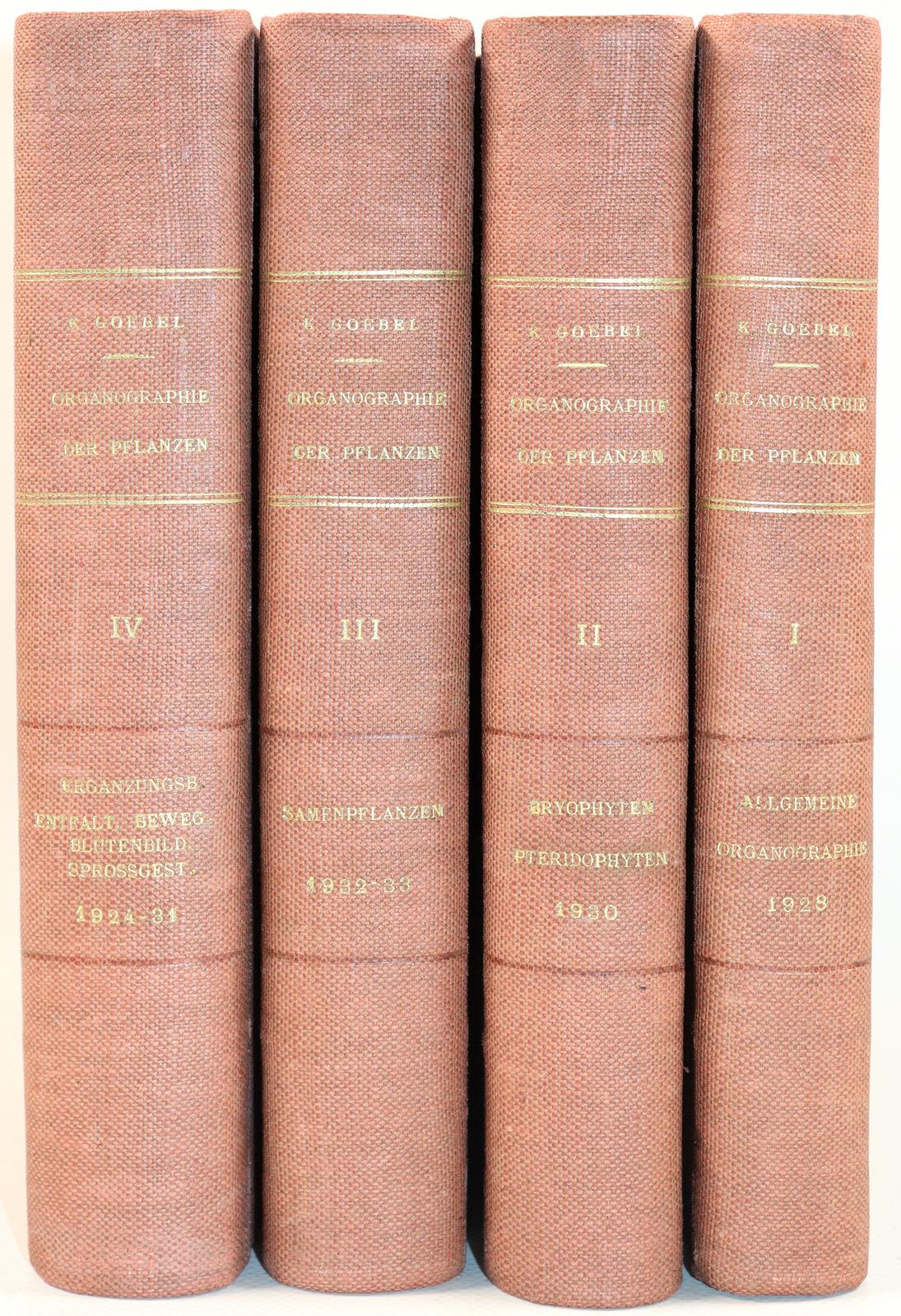 Goebel,K. | Bild Nr.4