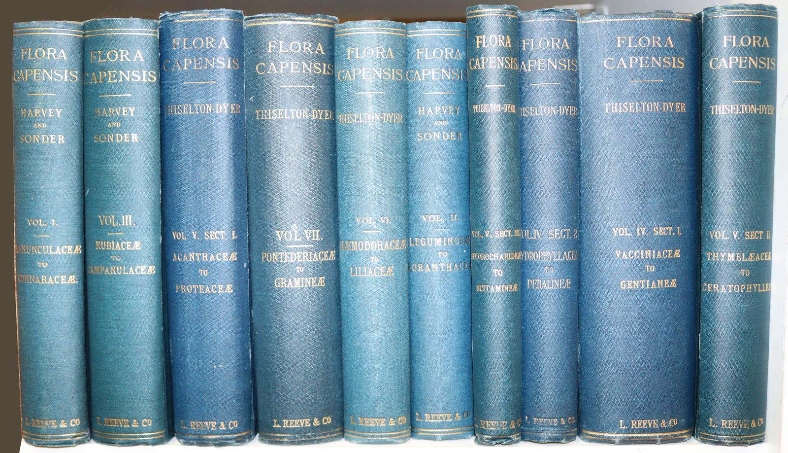 Harvey,W. u.a. | Bild Nr.2