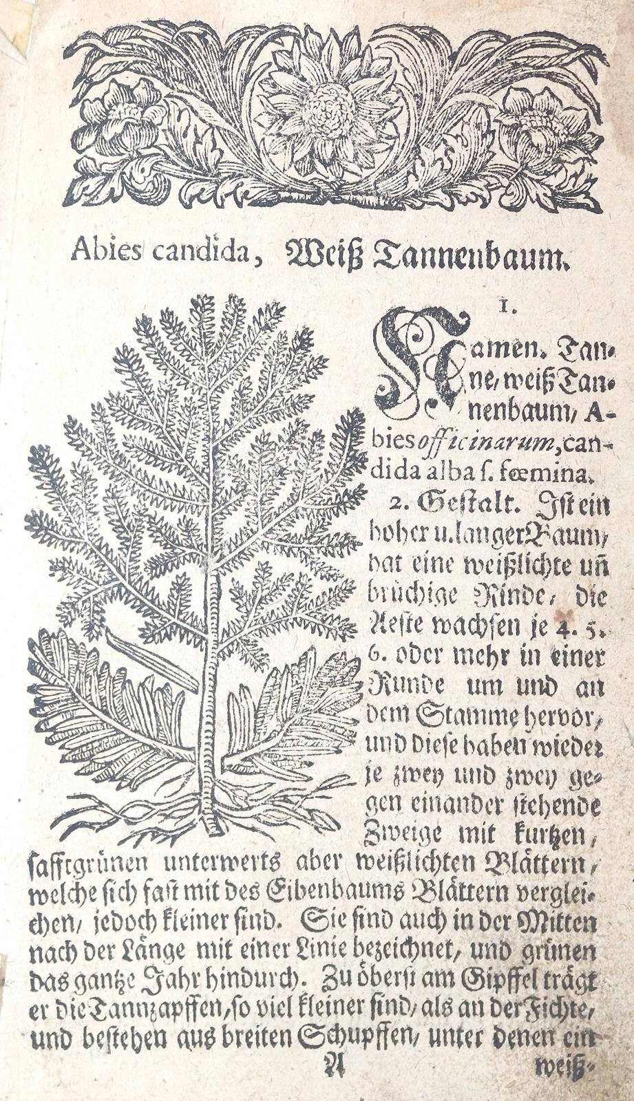 Müller,S. | Bild Nr.1