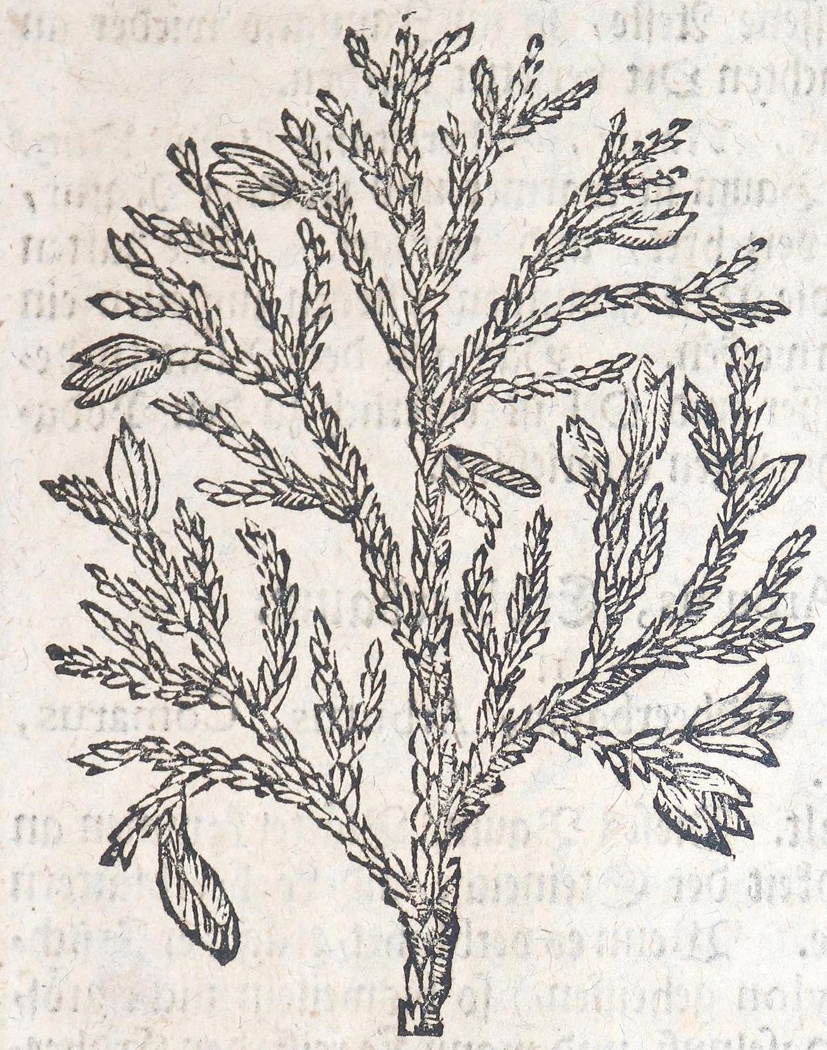 Müller,S. | Bild Nr.2