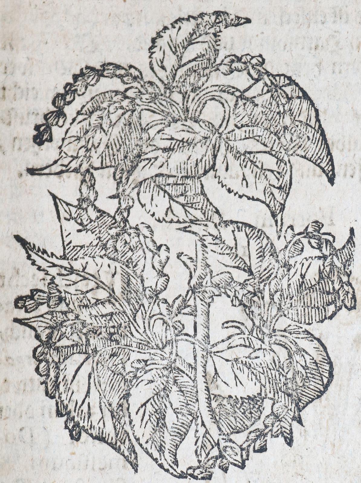 Müller,S. | Bild Nr.3