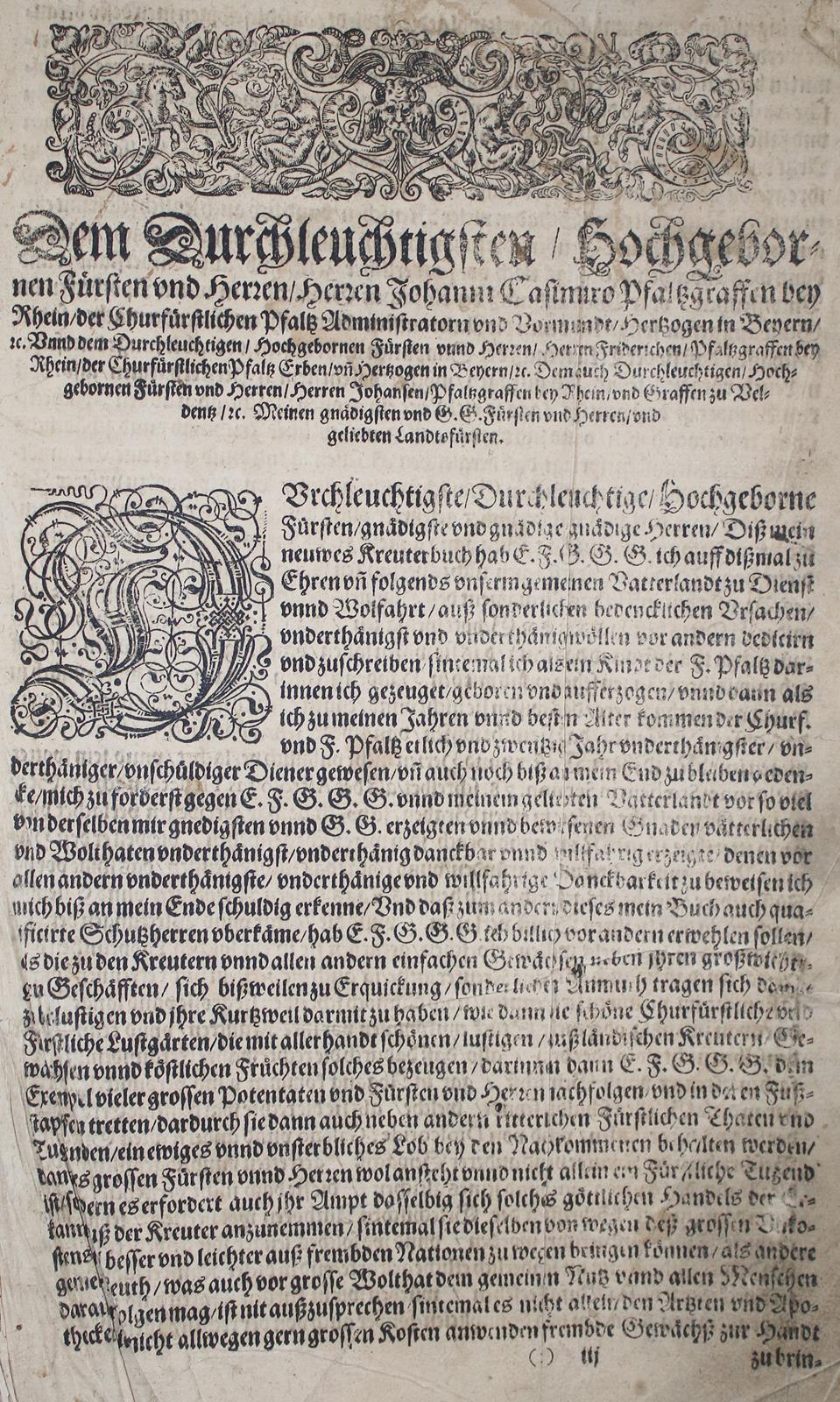 (Tabernaemontanus,J.T. | Bild Nr.4