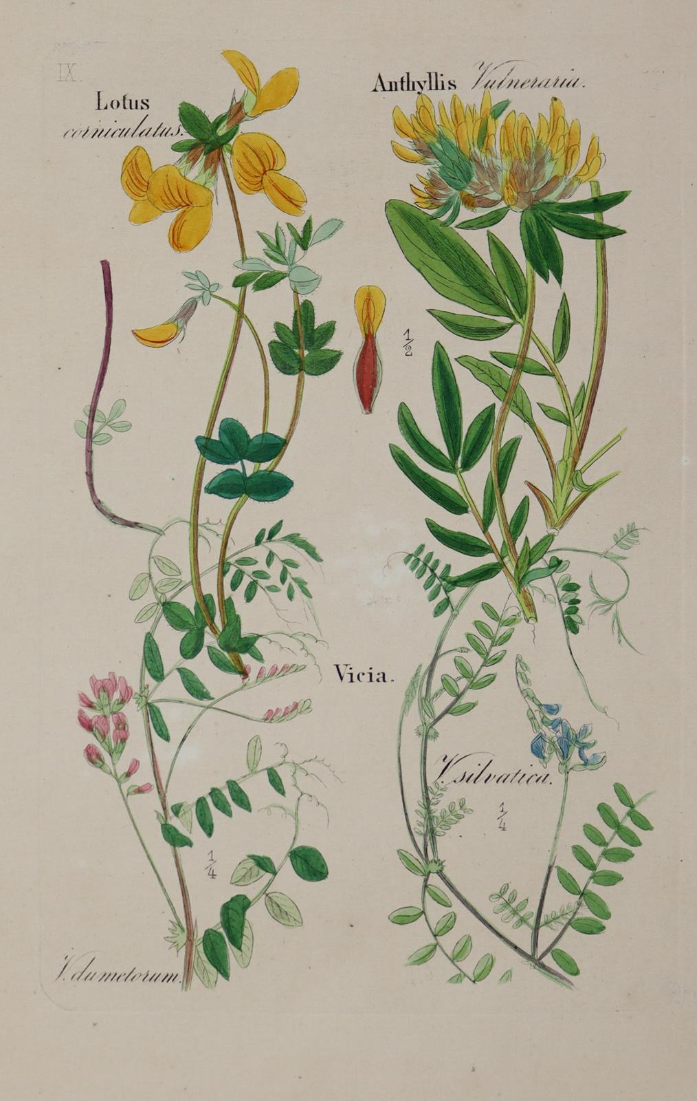 Loebe,W. (Hrsg.). | Bild Nr.3