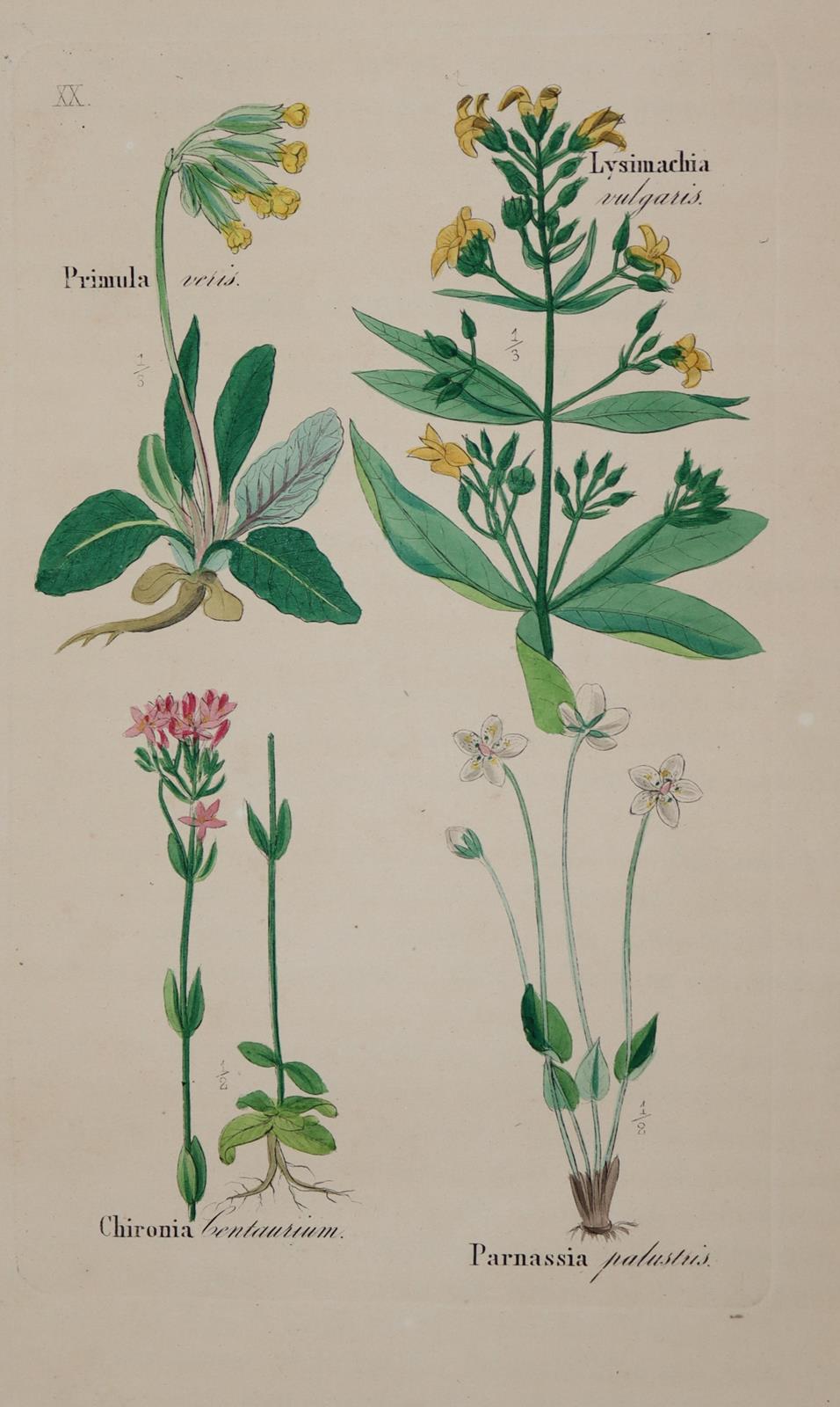 Loebe,W. (Hrsg.). | Bild Nr.4