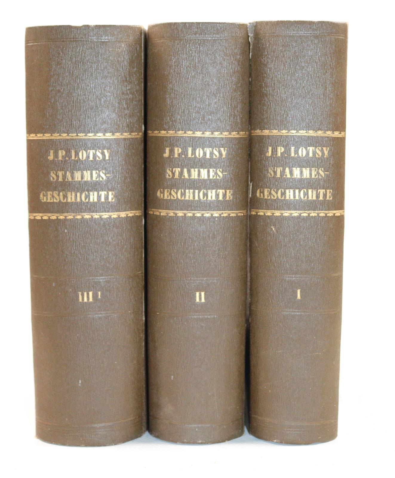 Lotsy,J.P. | Bild Nr.6