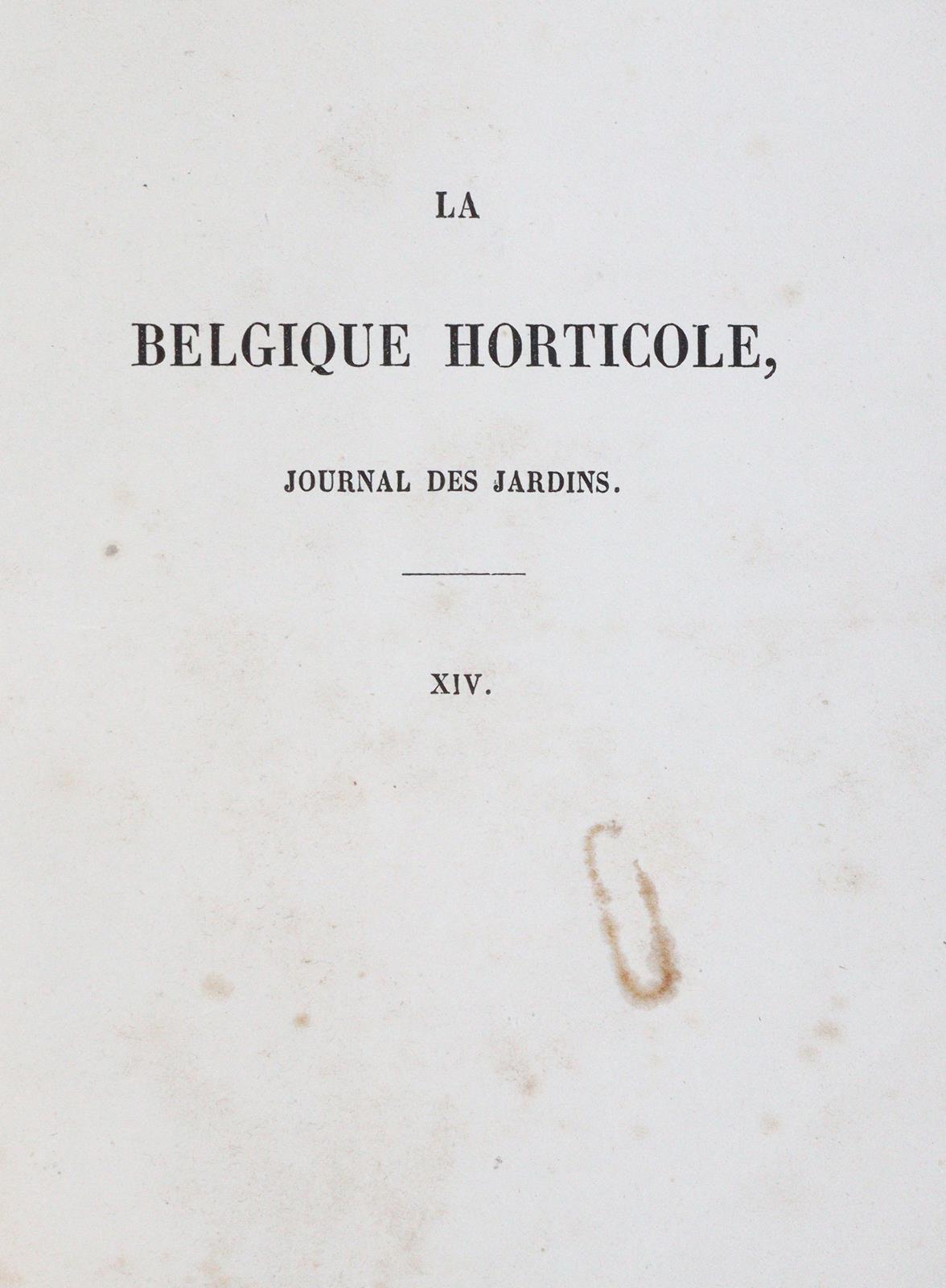 Morren,C. u. E. | Bild Nr.1