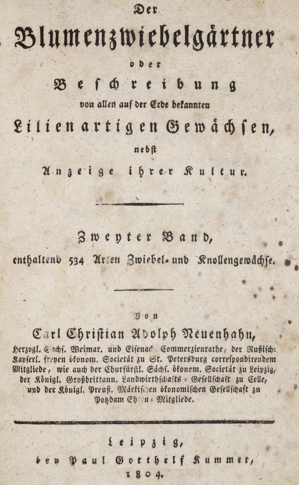 Neuenhahn,C.C.A. | Bild Nr.1