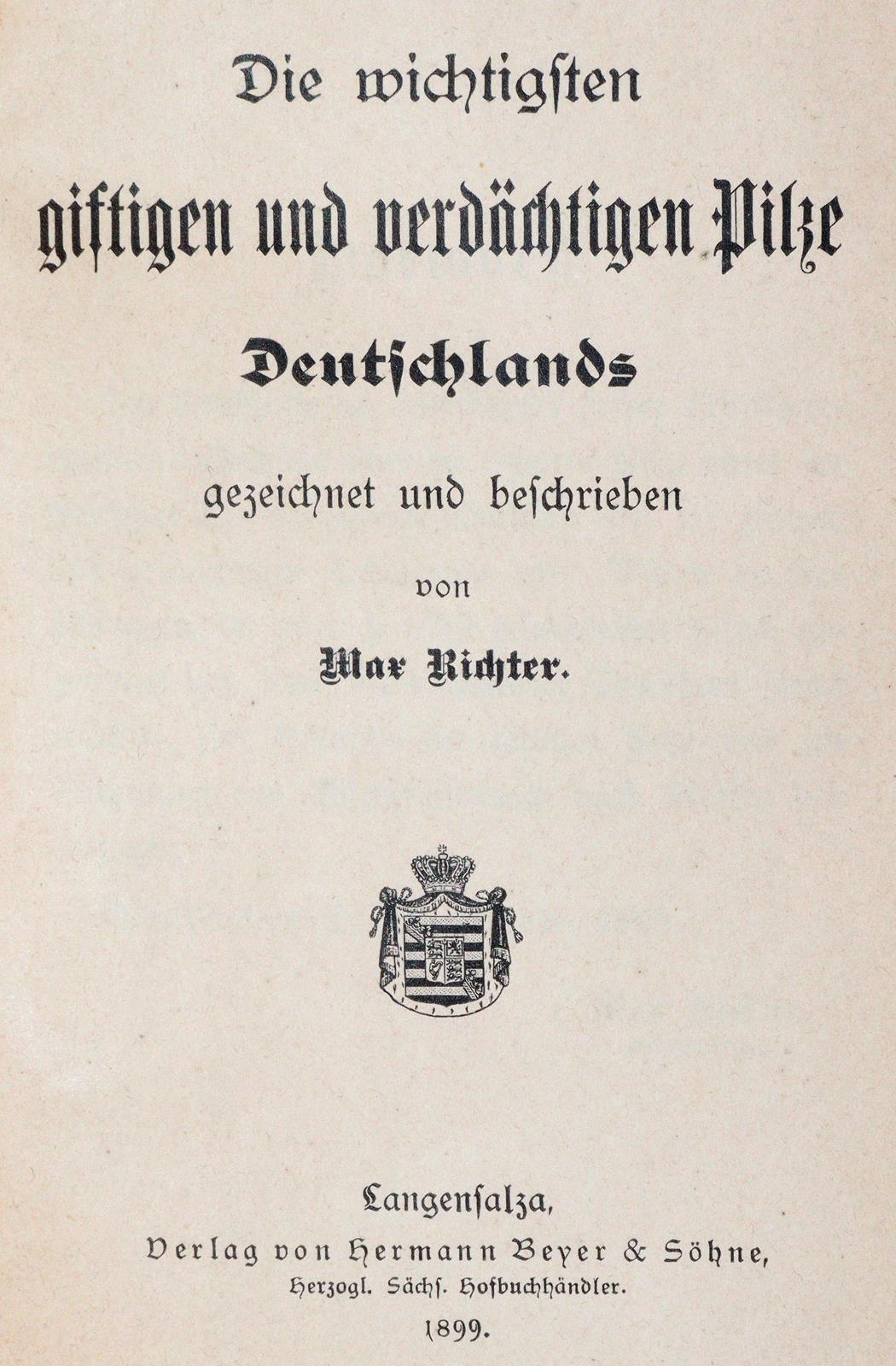Sammlung | Bild Nr.1