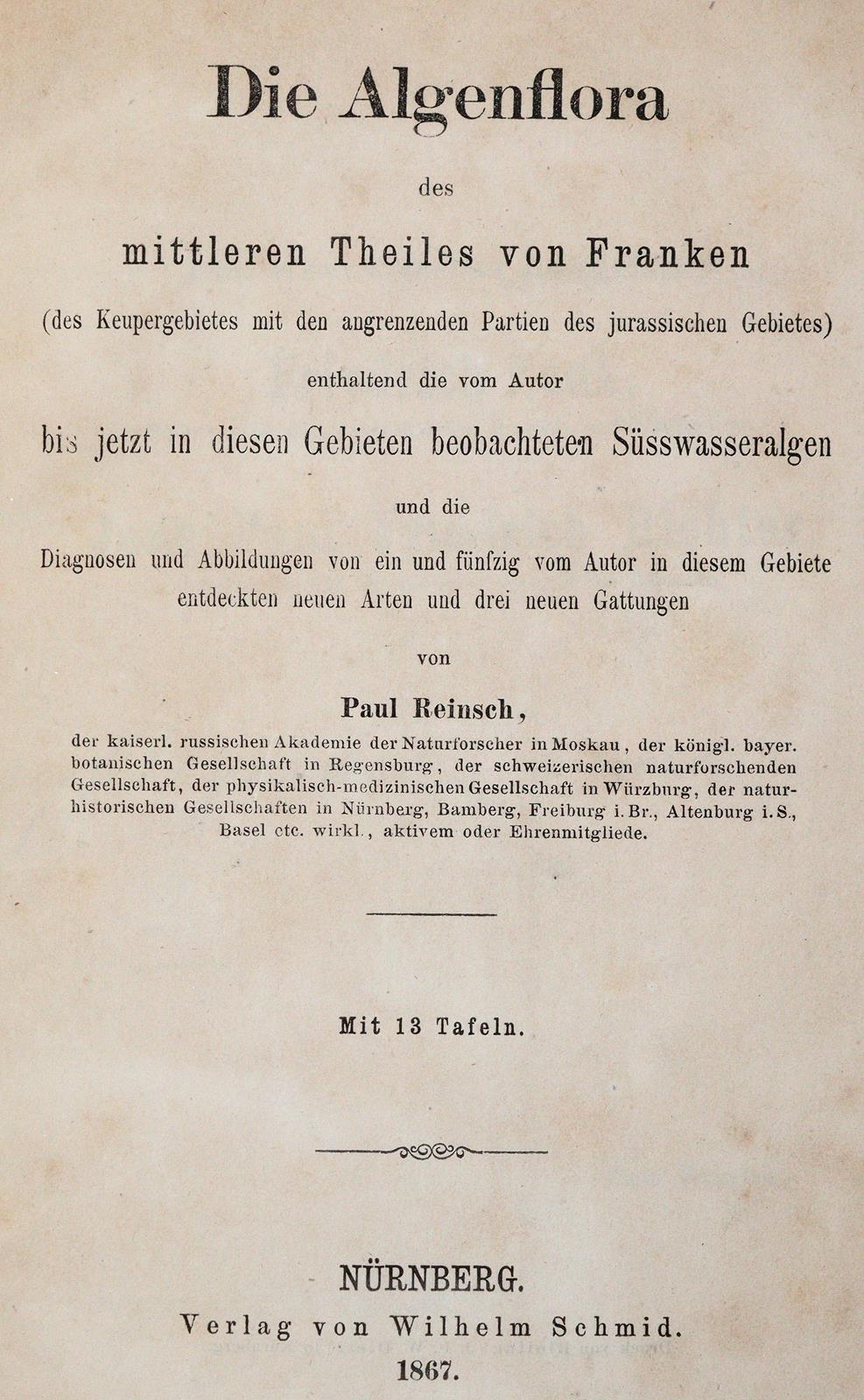 Reinsch,P.(A.). | Bild Nr.1