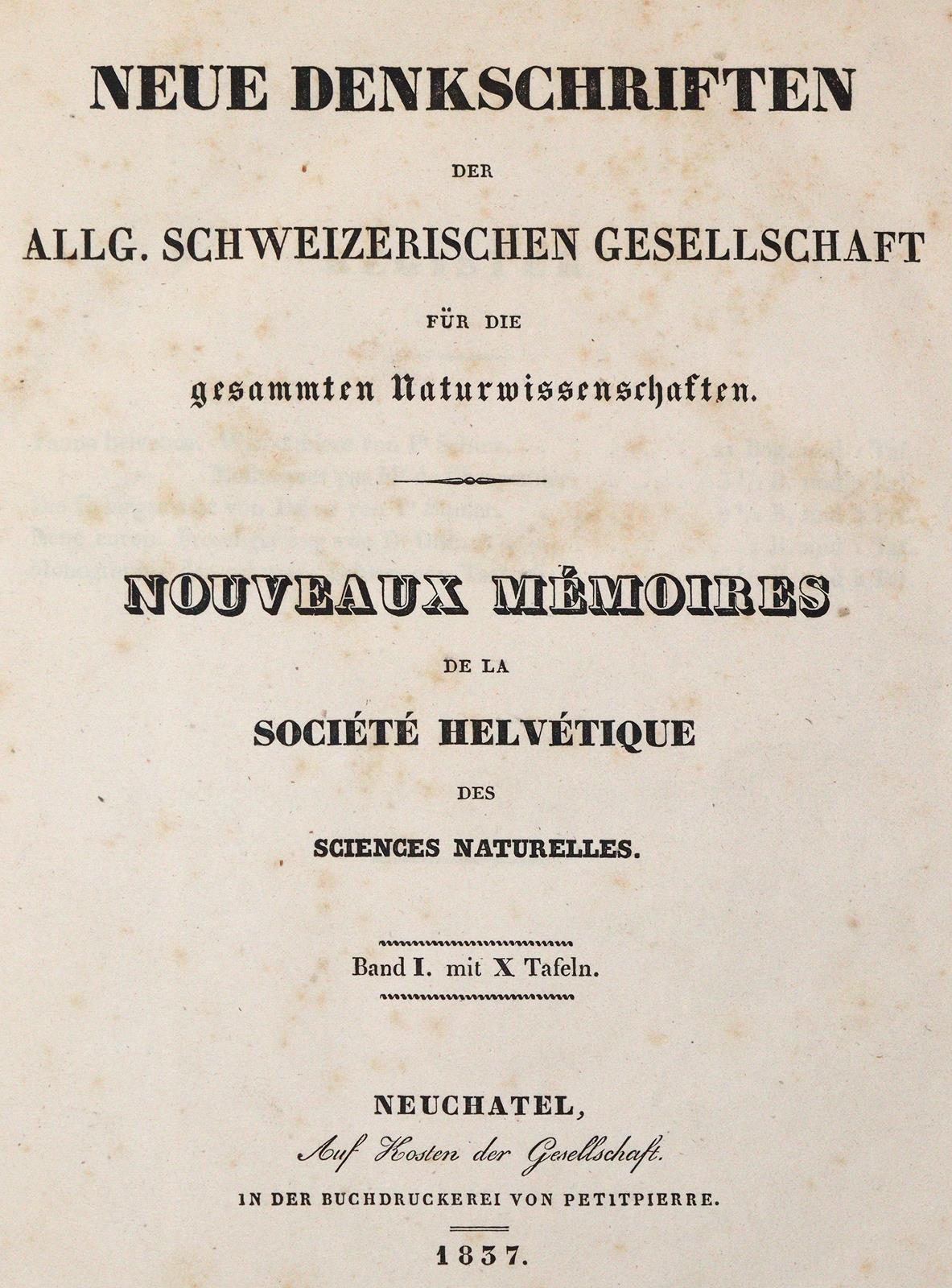 Schinz,H.R. | Bild Nr.1