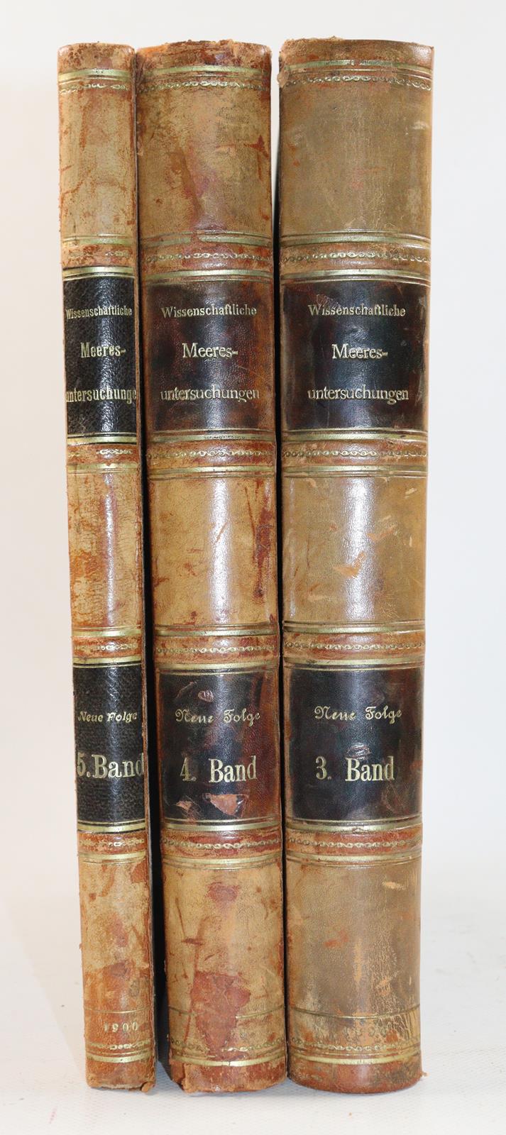 Wissenschaftliche Meeresuntersuchungen. | Bild Nr.7