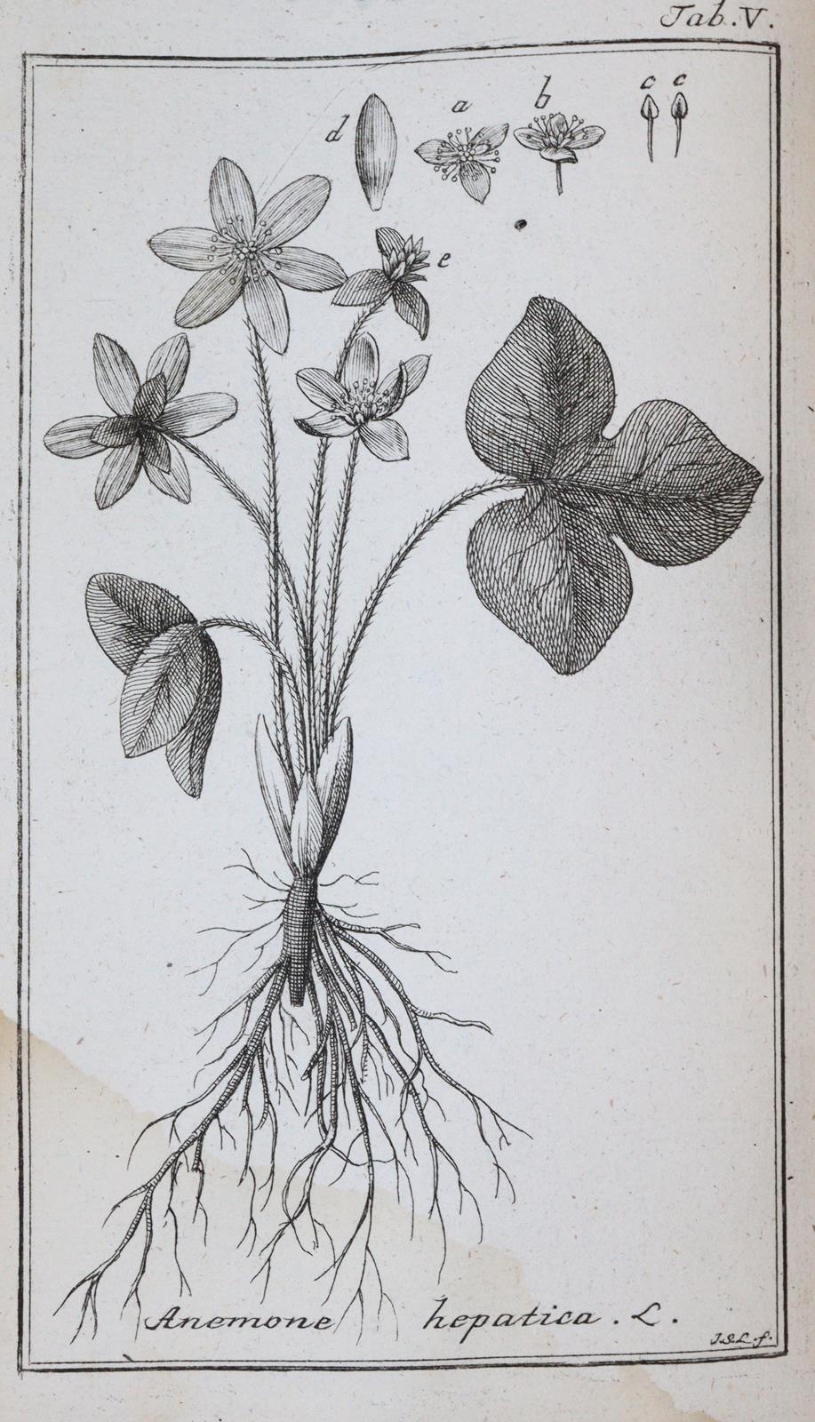 (Zorn,J.). | Bild Nr.2