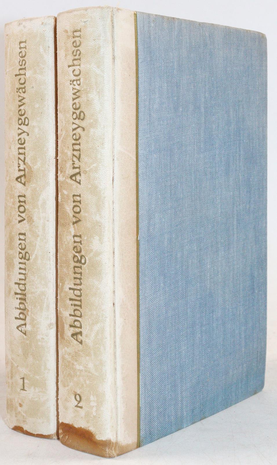 (Zorn,J.). | Bild Nr.5