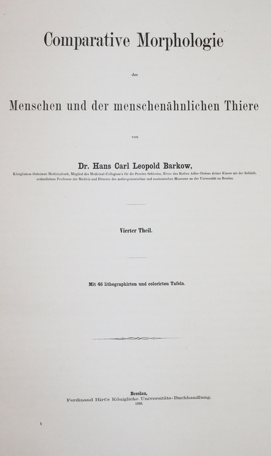 Barkow,H.C.L. | Bild Nr.1