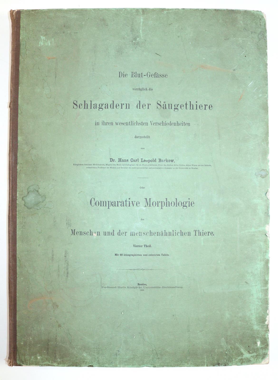 Barkow,H.C.L. | Bild Nr.6